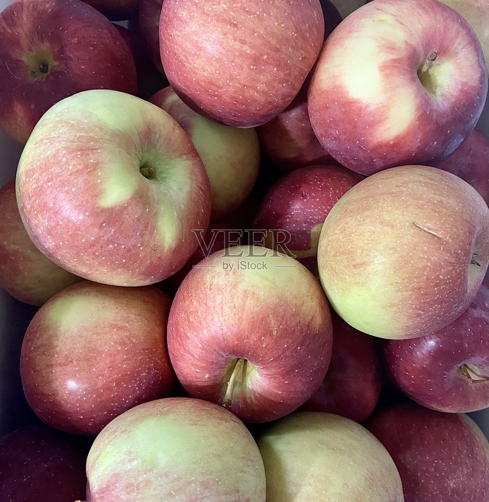 红色和黄色的大苹果。照片摄影图片