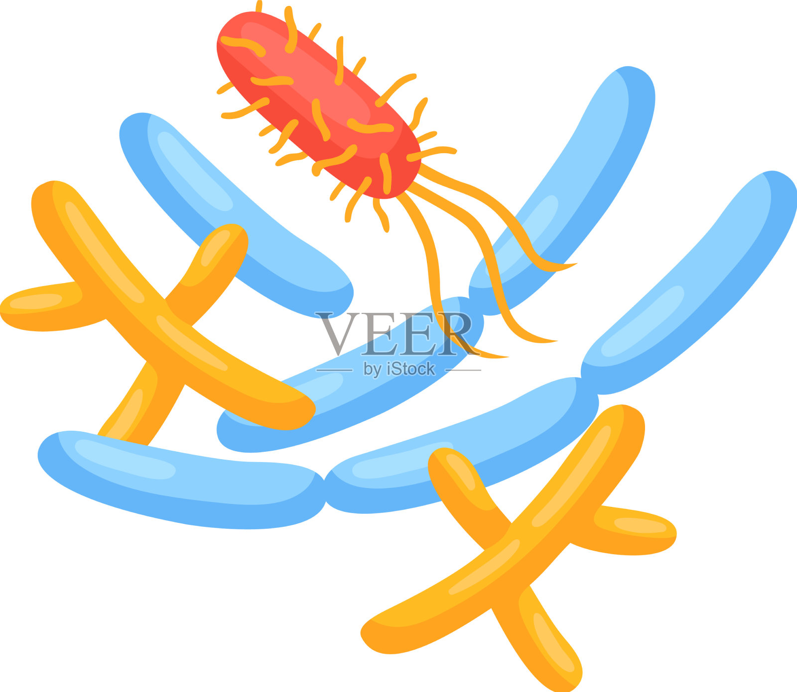 幽门螺杆菌等距组成设计元素图片