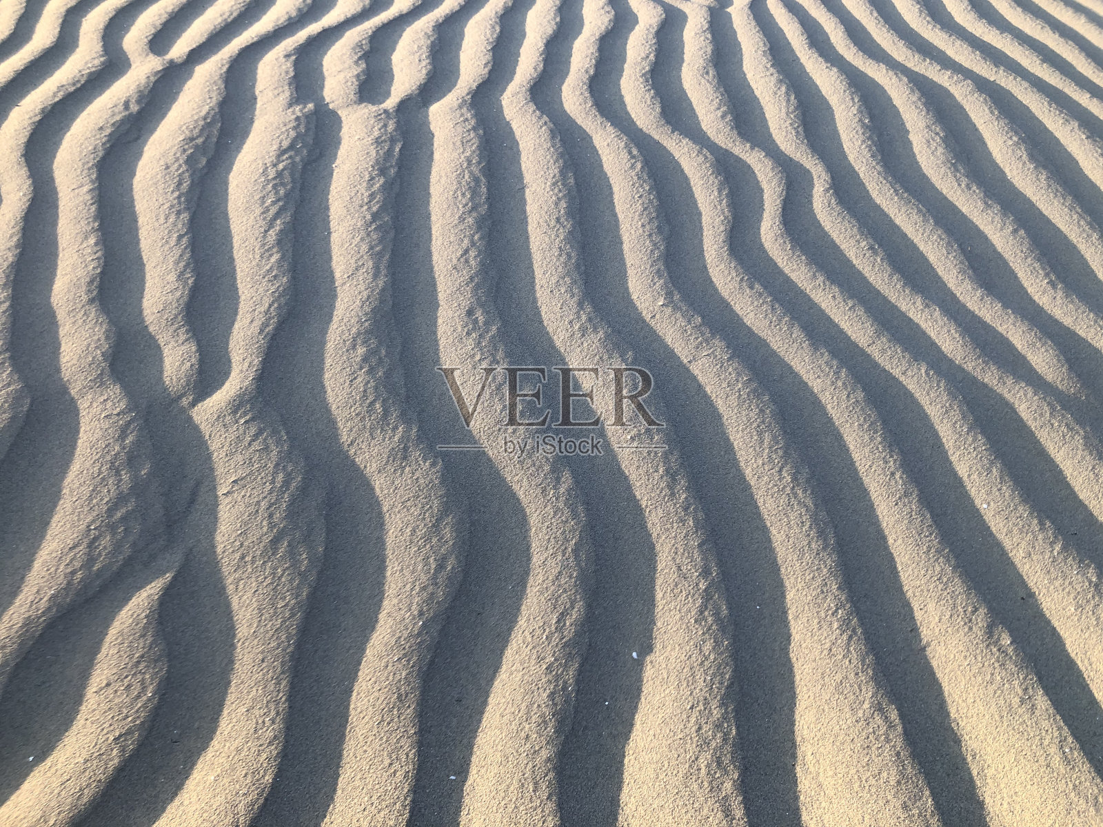 自然背景:清晨阳光照耀下的沙滩上的波纹照片摄影图片