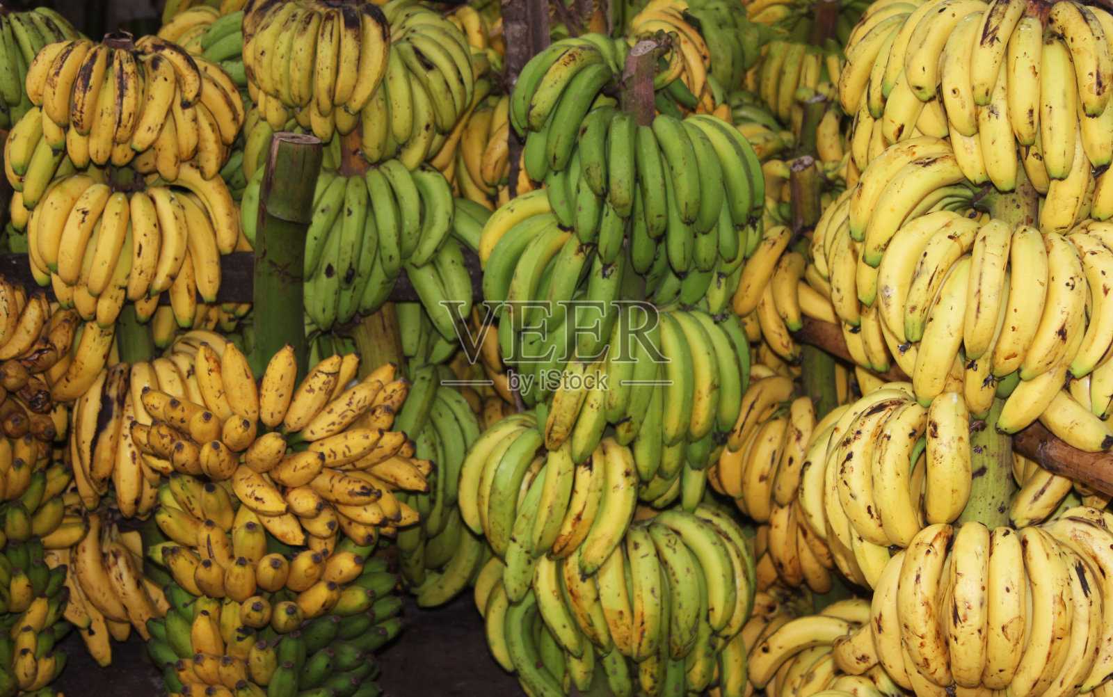 堆香蕉。绿色和黄色混合的香蕉果背景。香蕉市场。照片摄影图片