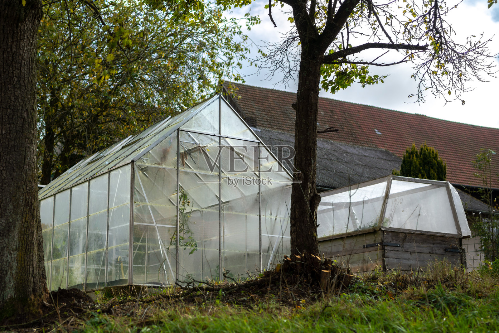 有磨砂玻璃的温室照片摄影图片