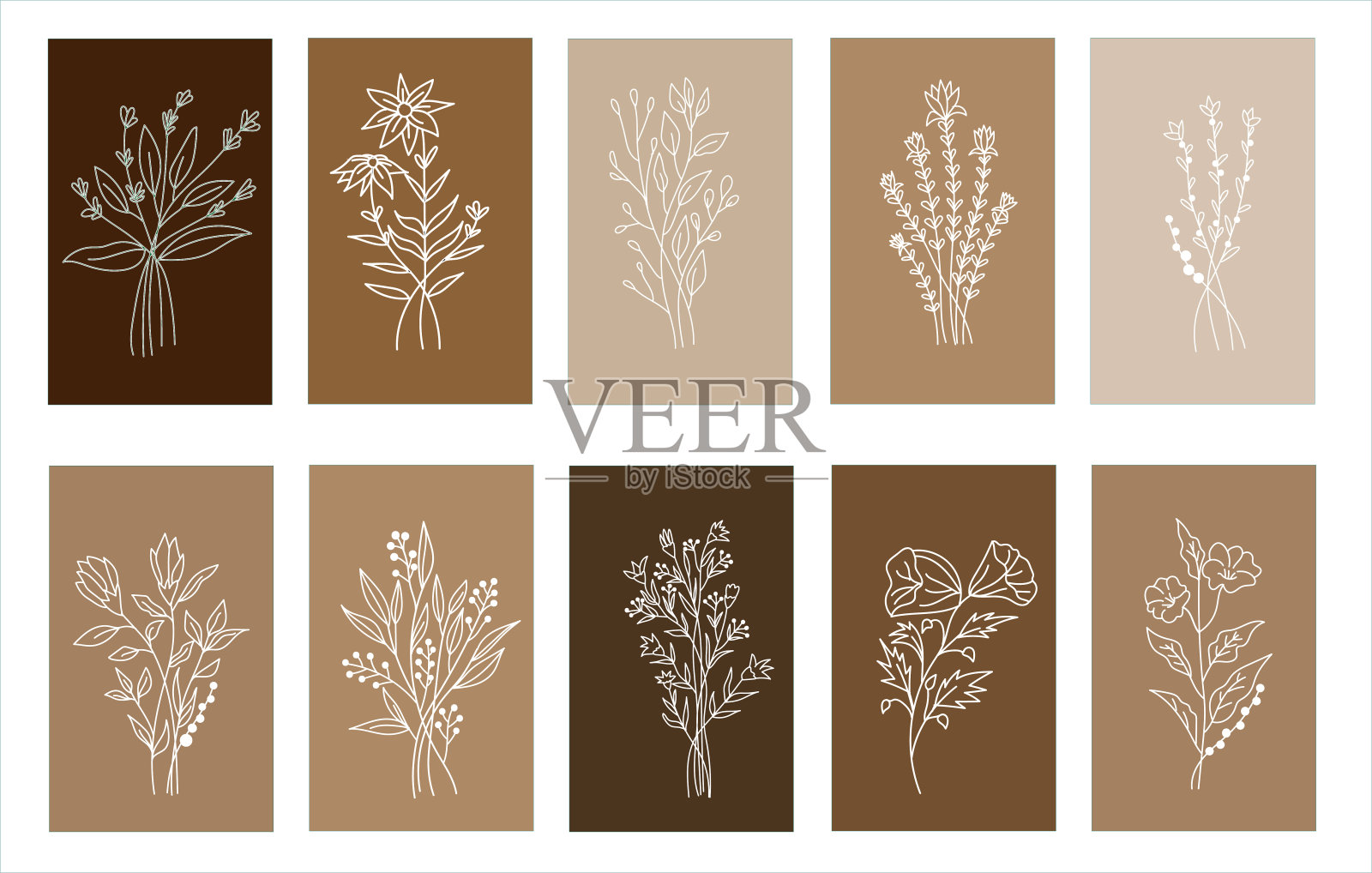 现代抽象的线叶在线插画图片素材