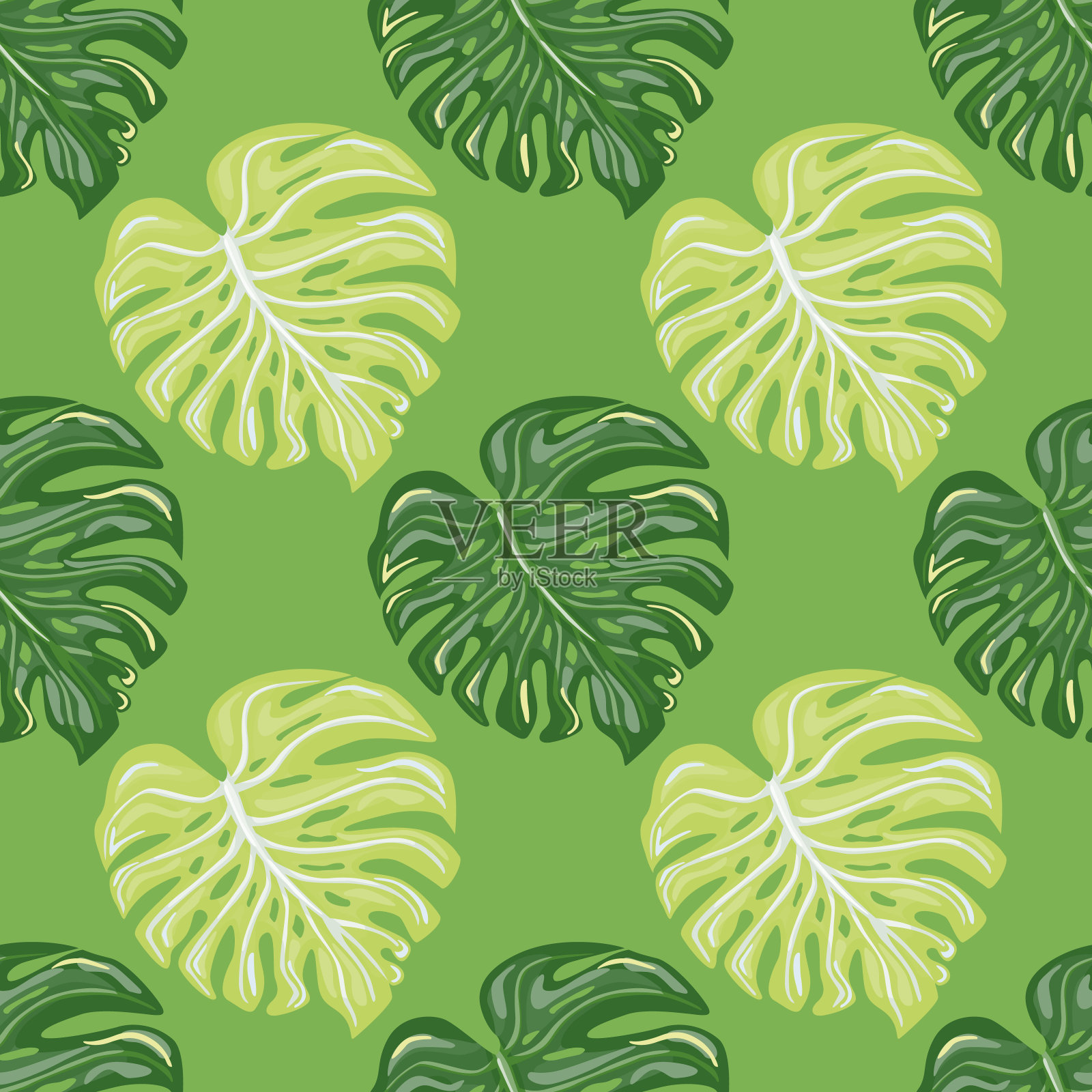 热带无缝模式与怪物的叶子明亮的绿色背景。插画图片素材