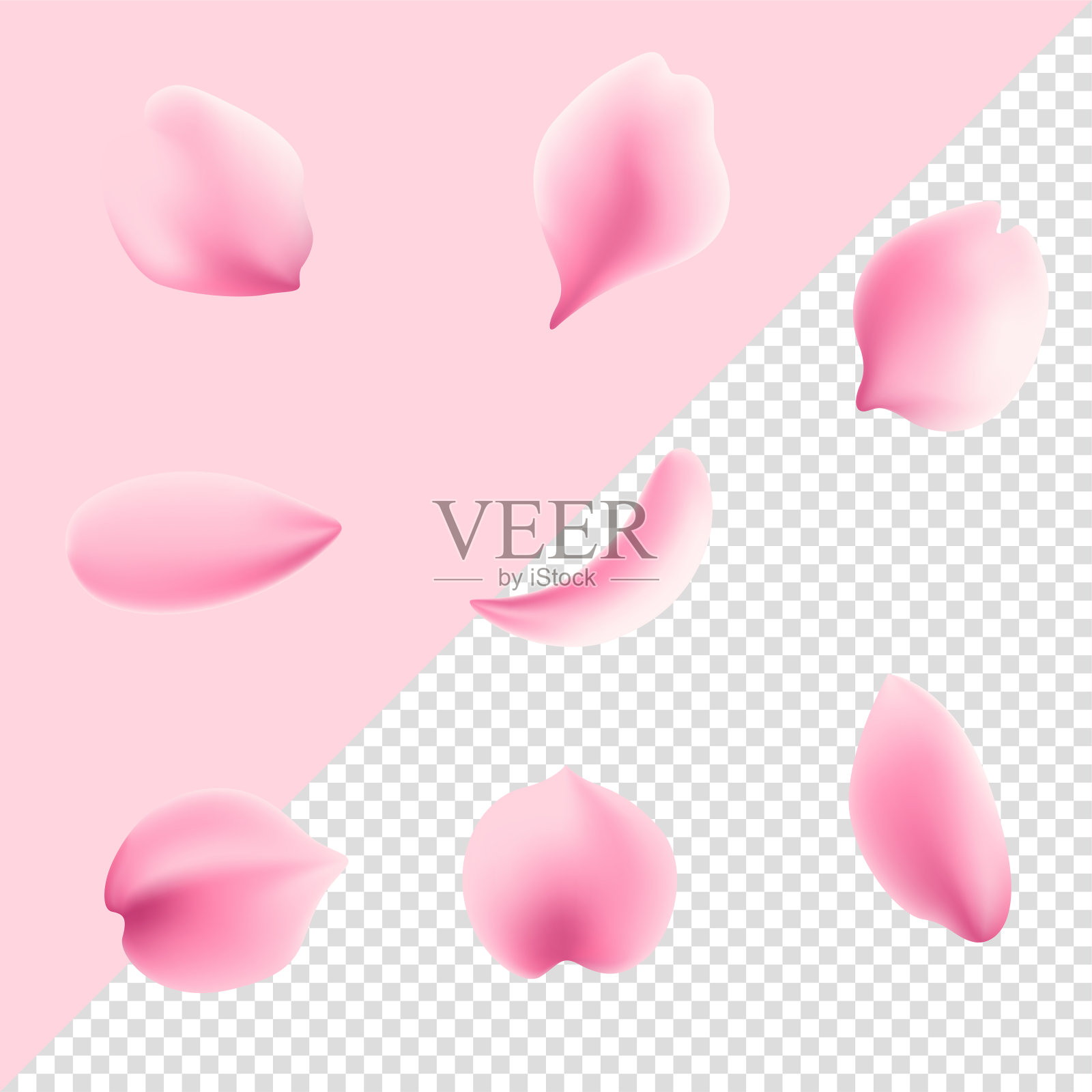 玫瑰花瓣孤立在透明的背景上插画图片素材