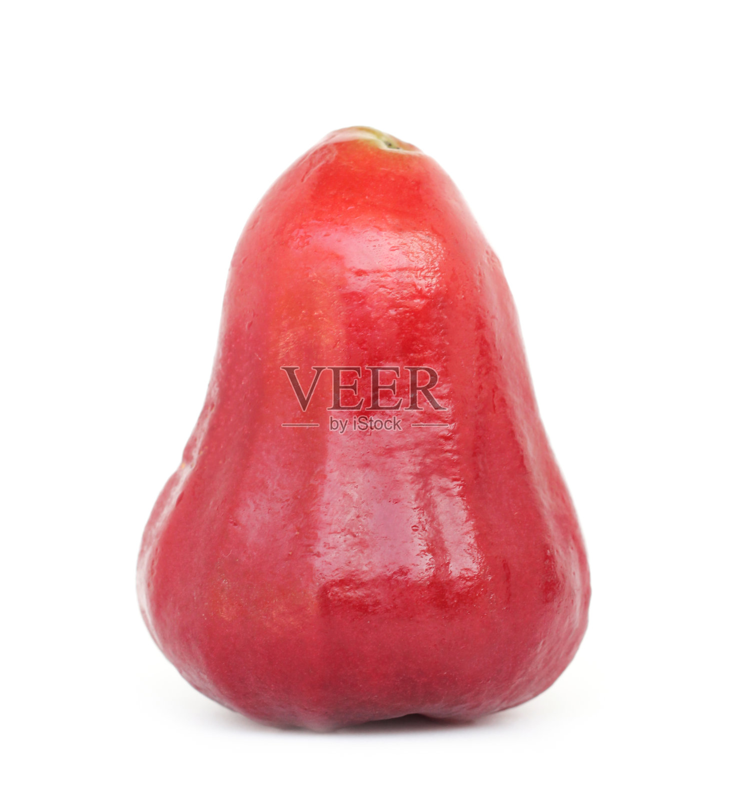 全玫瑰苹果或琼布孤立照片摄影图片