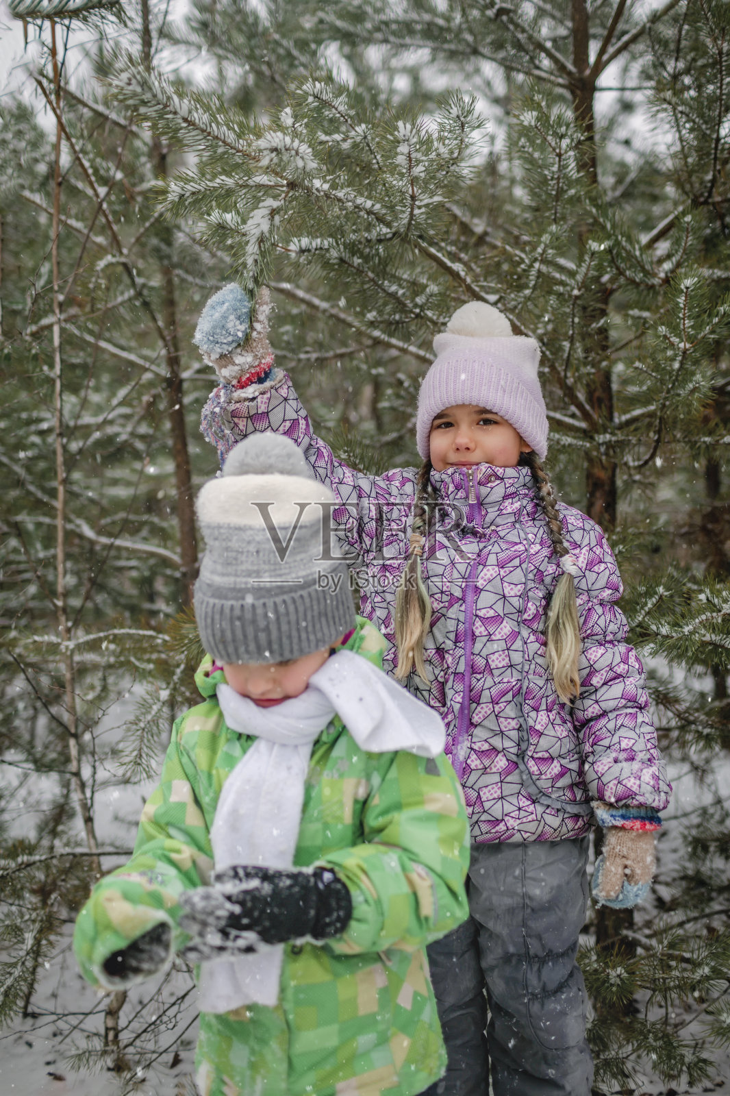 在阳光明媚的冬日里,戴着针织帽的可爱女孩在森林里给弟弟泼雪照片摄影图片