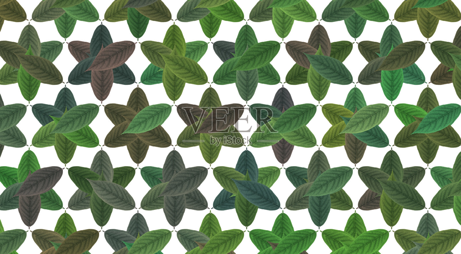 无缝的绿色花卉图案在白色的背景照片摄影图片