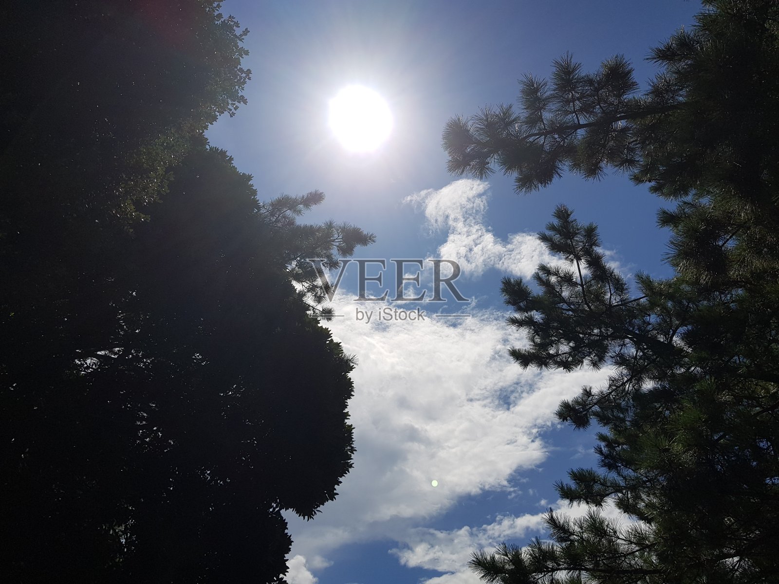 阳光照片摄影图片