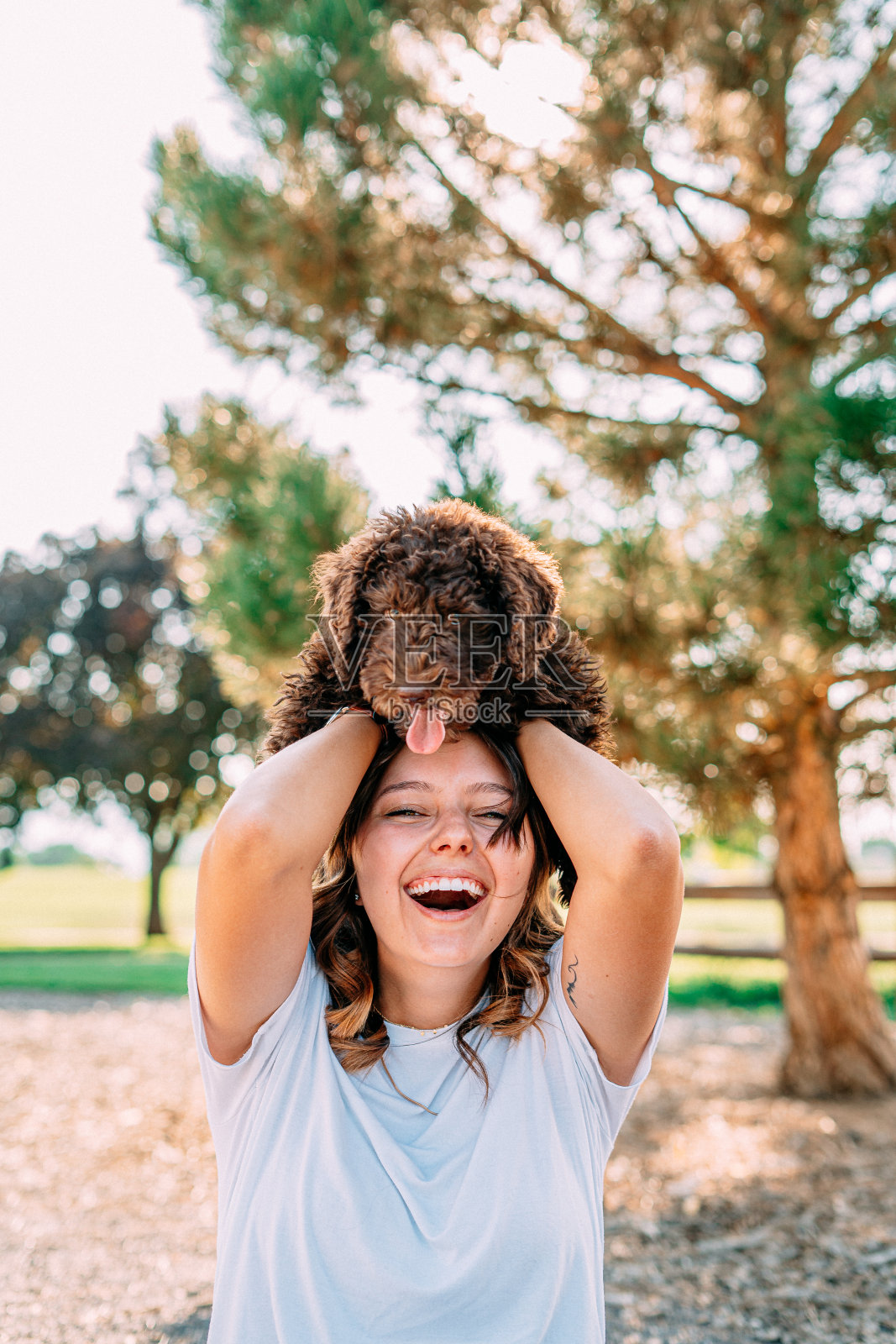 可爱的肖像,一个快乐的年轻女人做鬼脸,抱着她的宠物“Sheepadoodle”毛茸茸的狗照片摄影图片