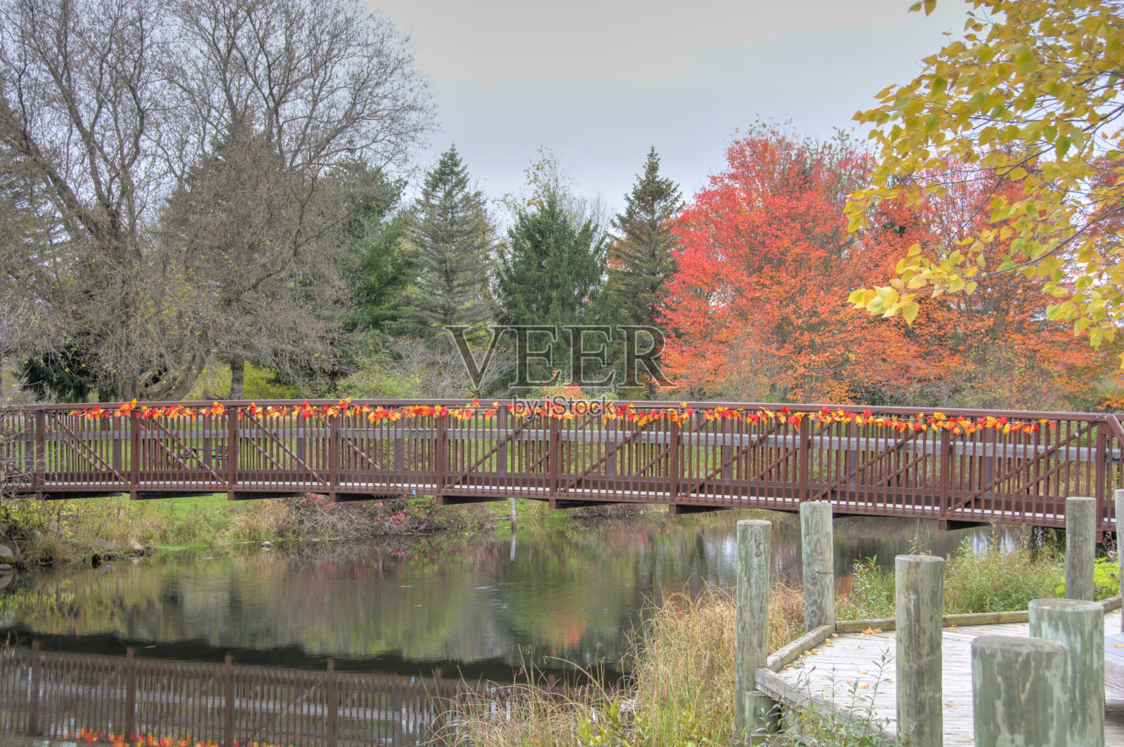 密歇根州格雷林附近的步行桥和秋天的树叶颜色照片摄影图片