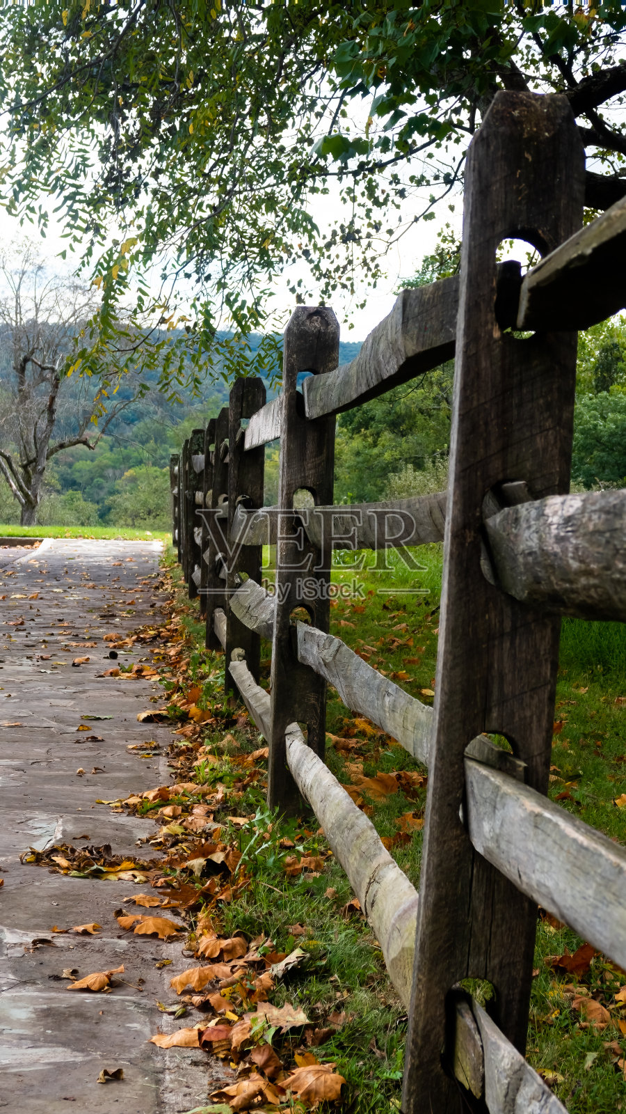 山篱笆线与秋天树叶照片摄影图片
