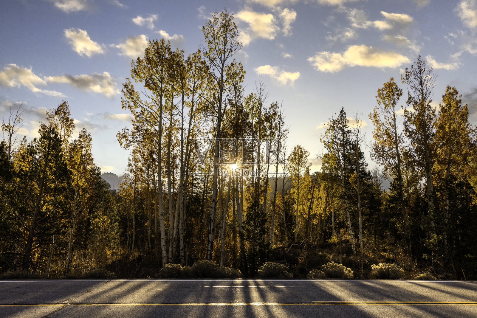 秋天给内华达山脉增添了色彩照片摄影图片