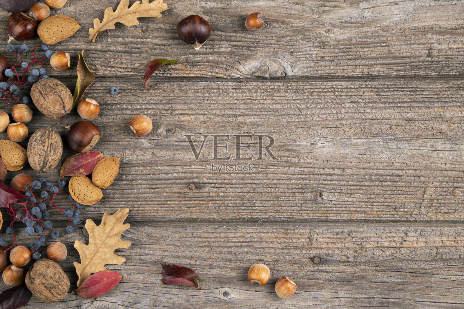 坚果照片摄影图片