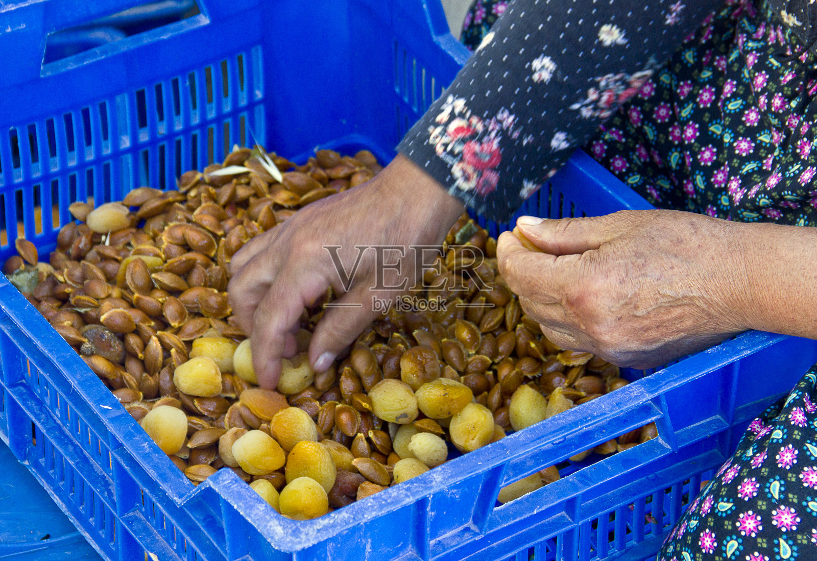 农场里的杏干和种子照片摄影图片