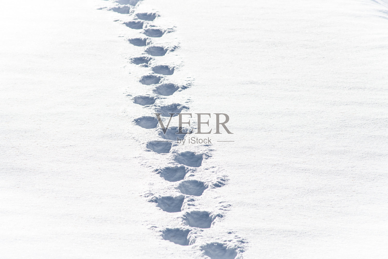 雪地里的脚印照片摄影图片