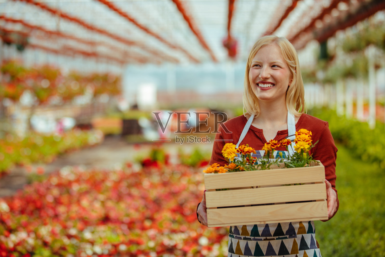 在温室里工作的园丁照片摄影图片