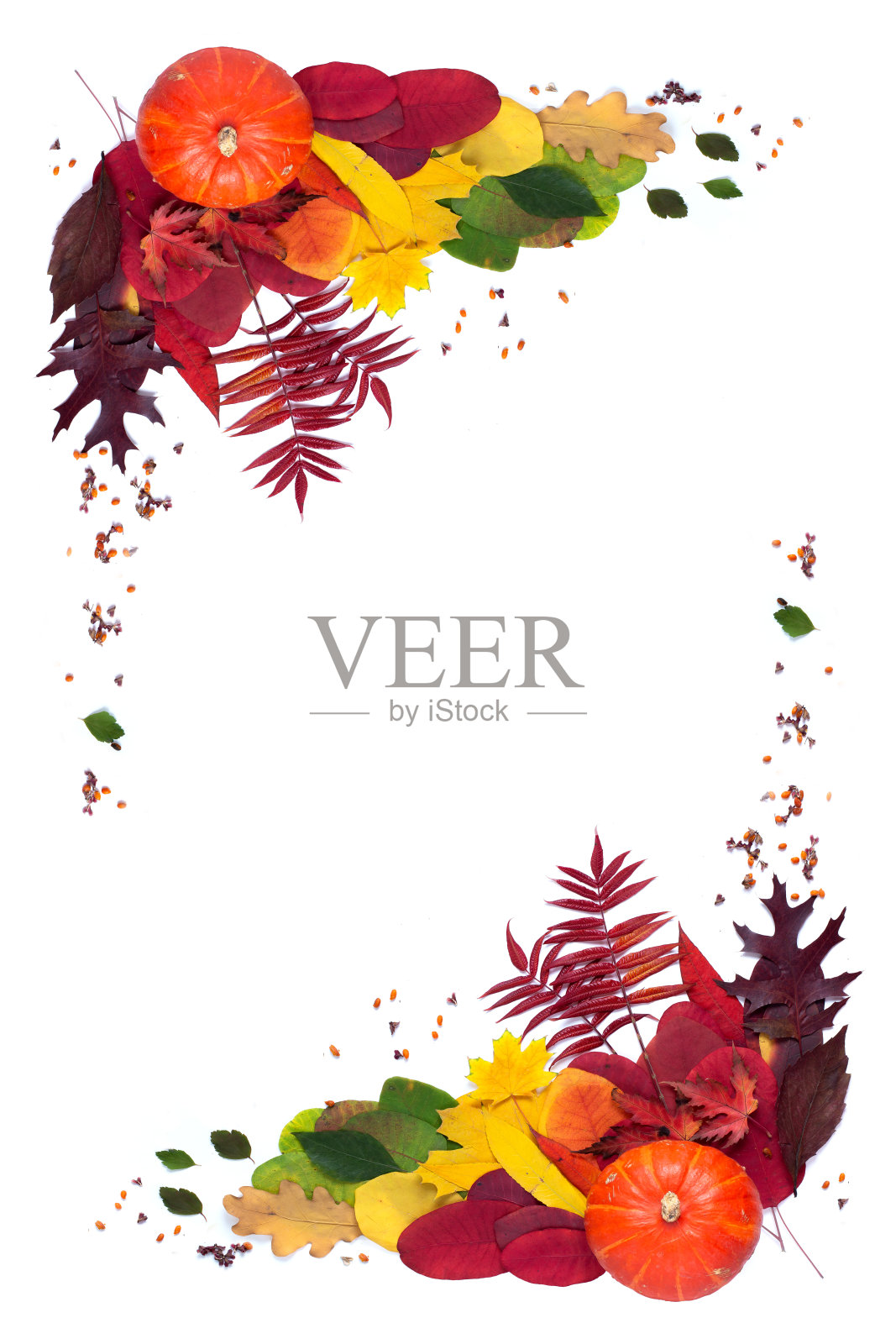 用秋叶和南瓜框起来。秋天的成分。照片摄影图片