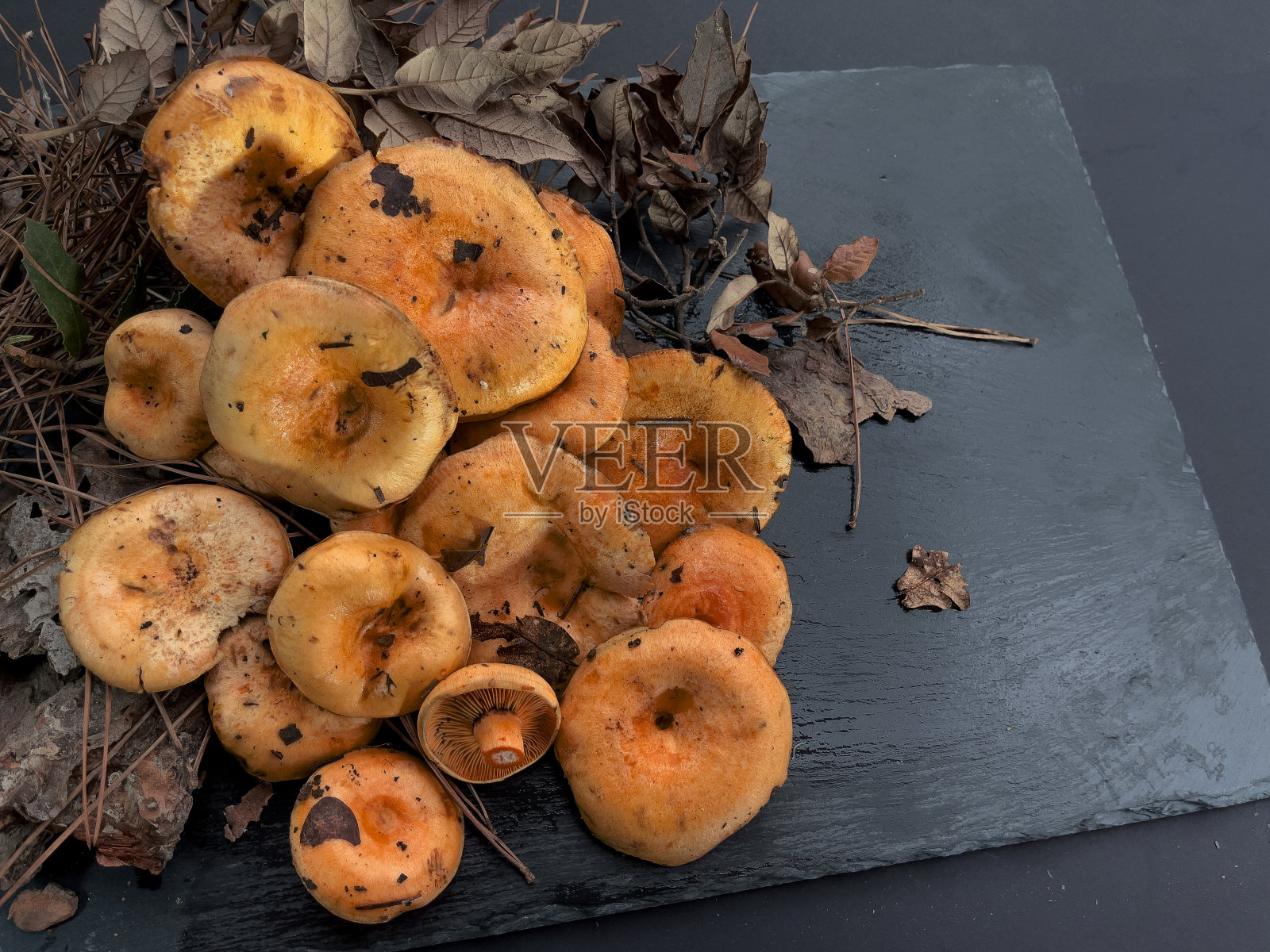 鸡油菌在一块黑色石板上照片摄影图片