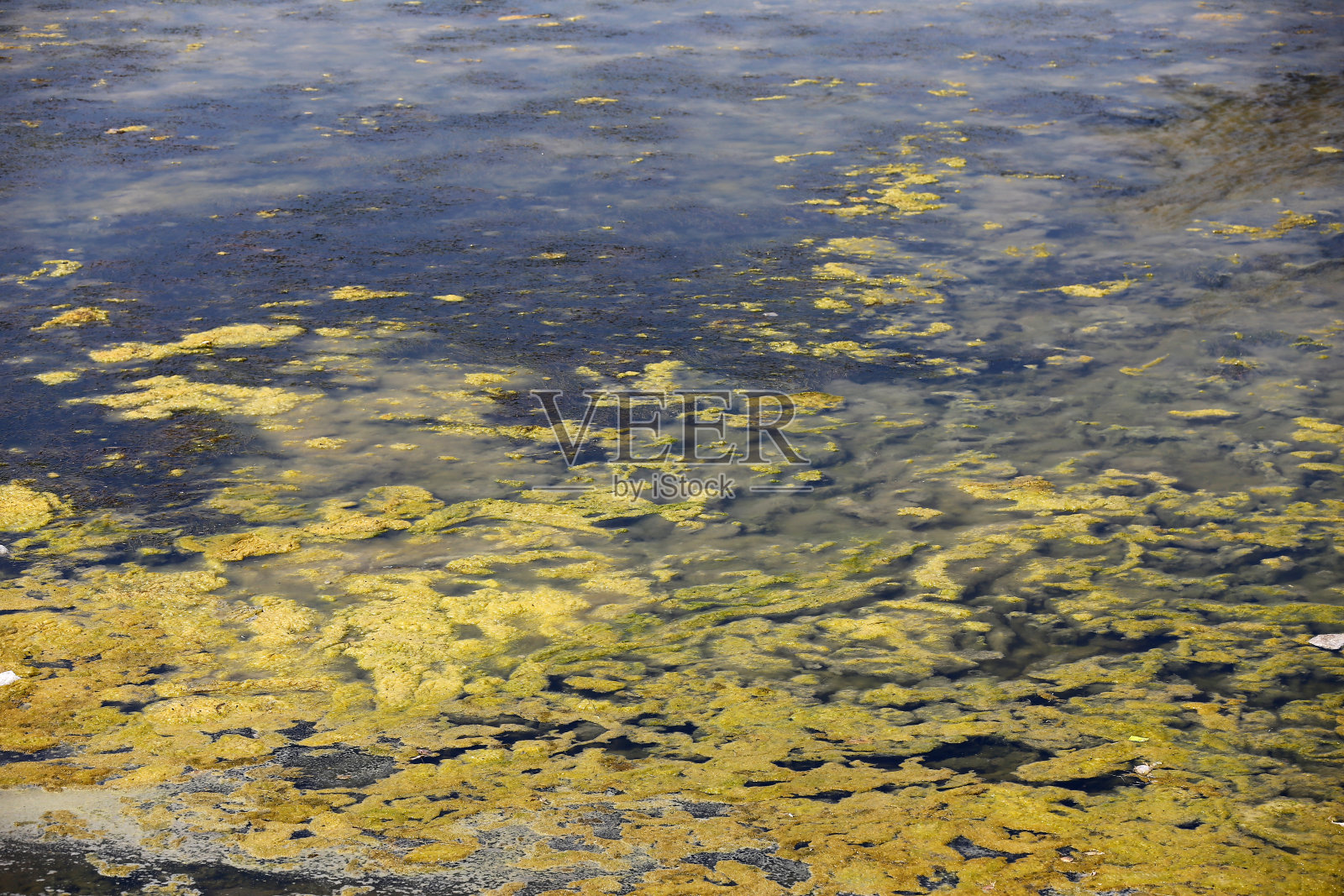 水污染照片摄影图片