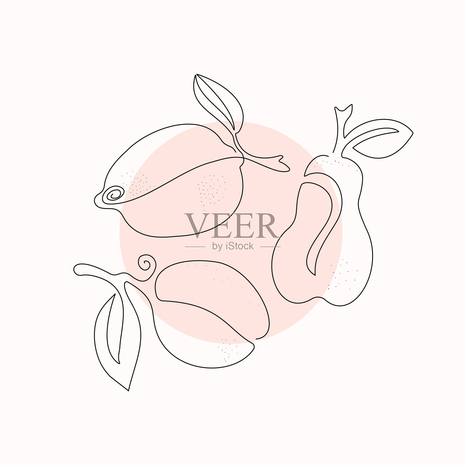 水果艺术线条。李子、柠檬、梨。一个画线。插画图片素材