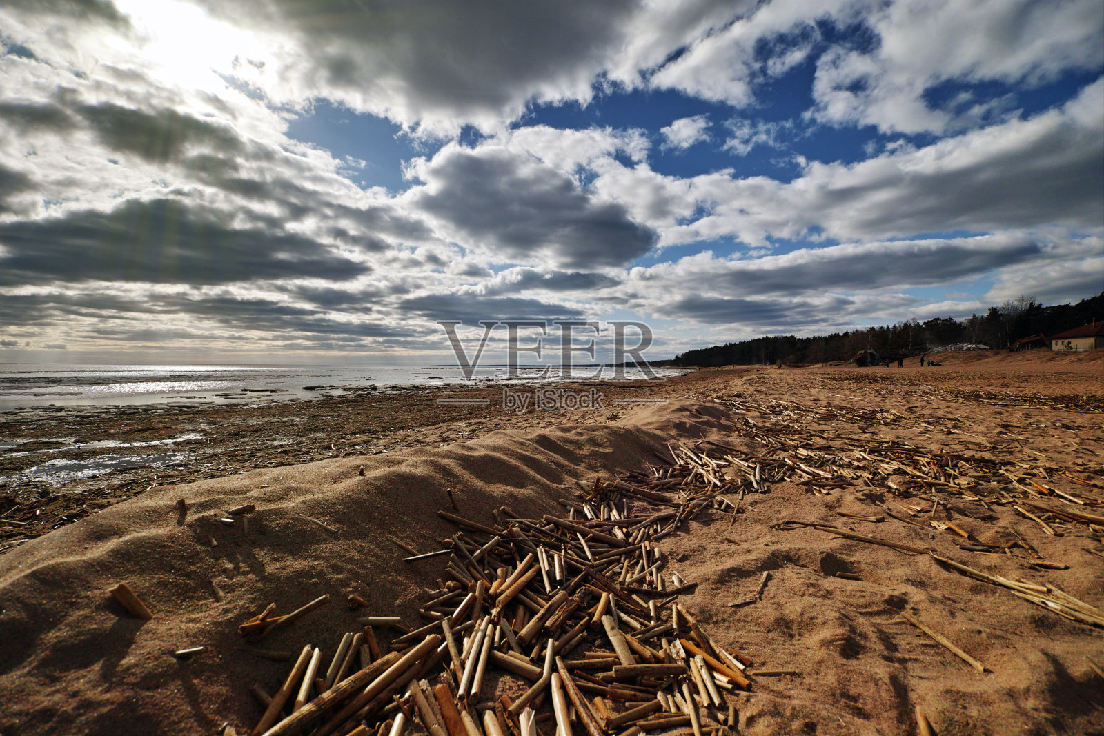 俯瞰芬兰湾和沙滩的春天景观。照片摄影图片