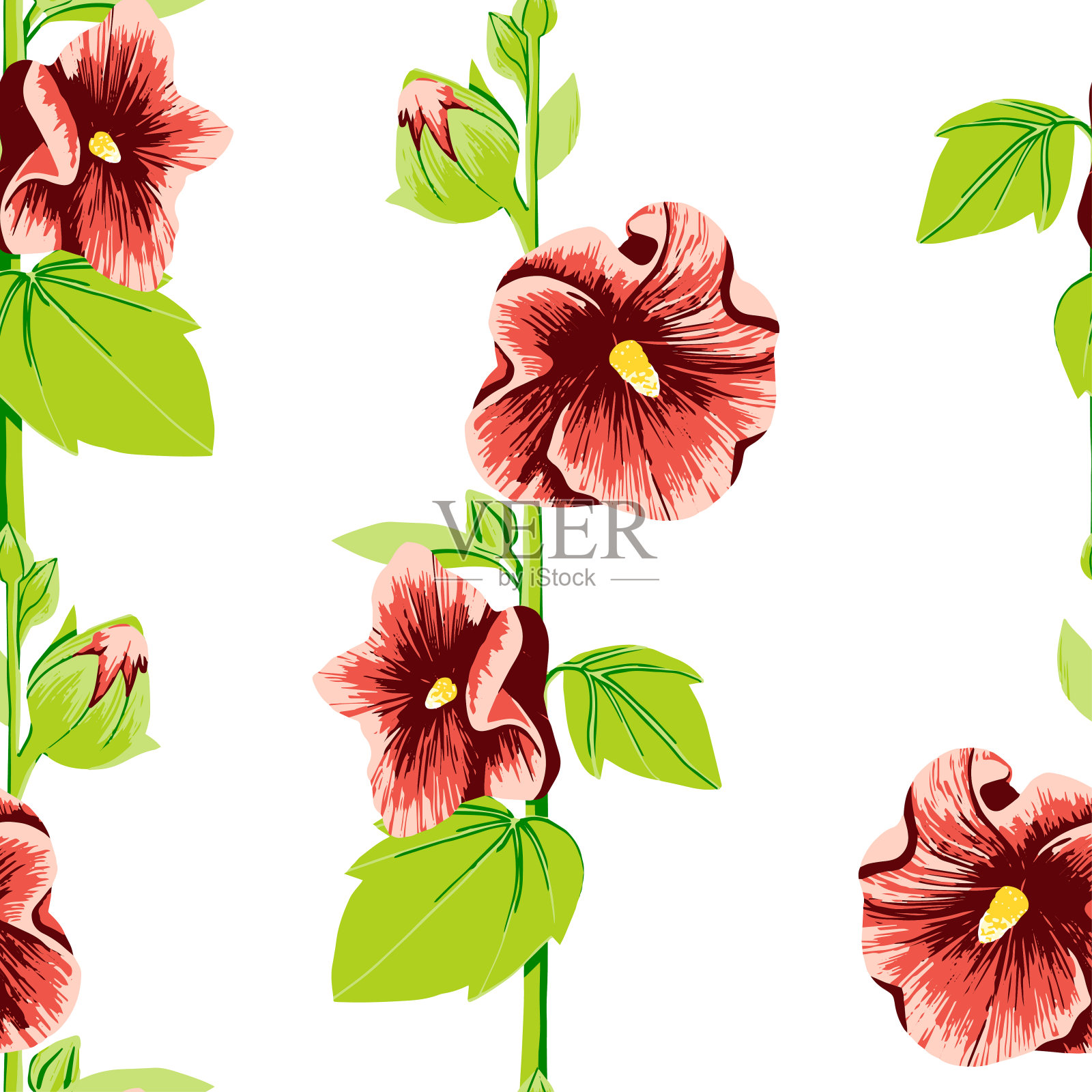无缝图案的红色锦葵花插画图片素材