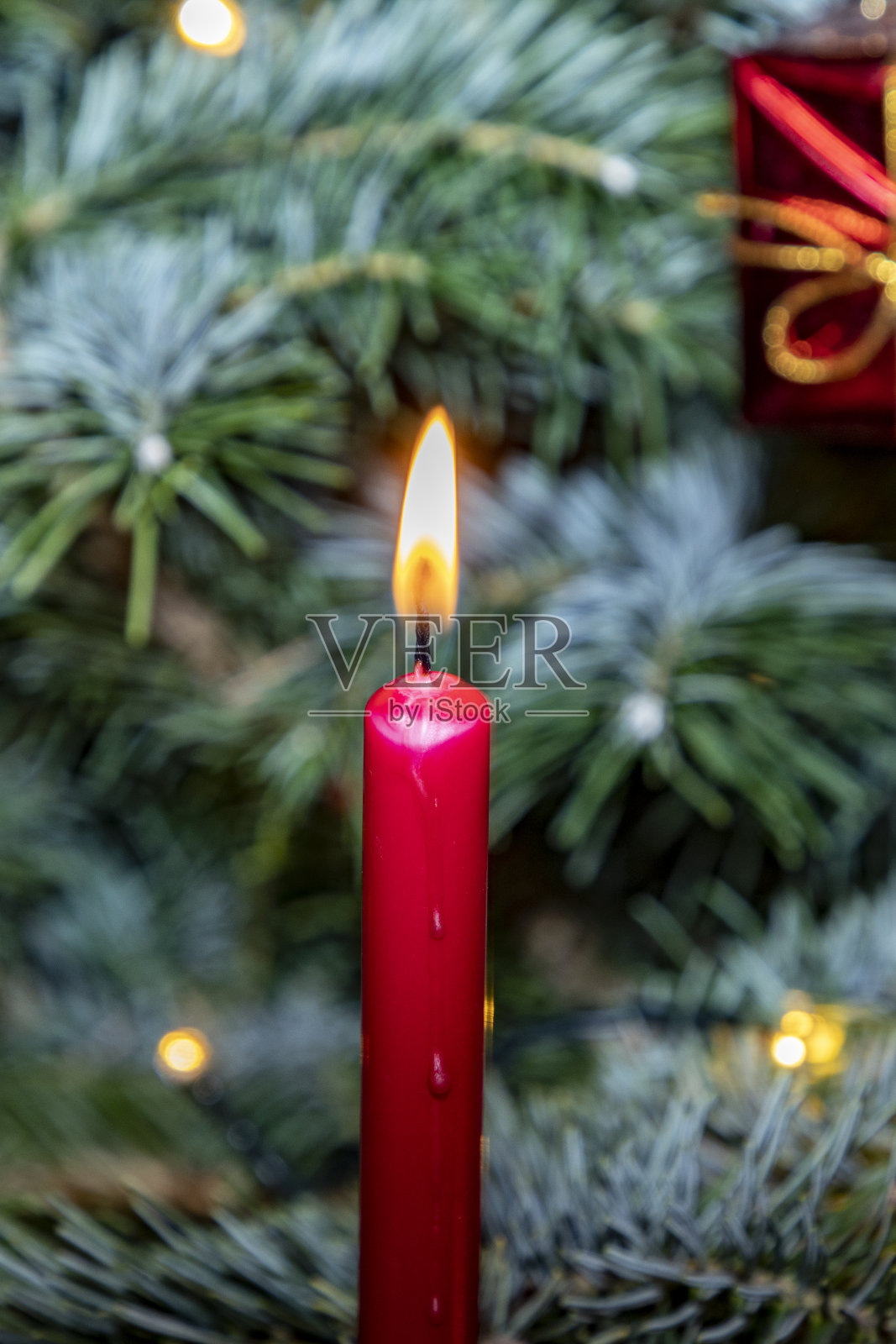 作为古老的传统,在圣诞树前点燃圣诞蜡烛照片摄影图片