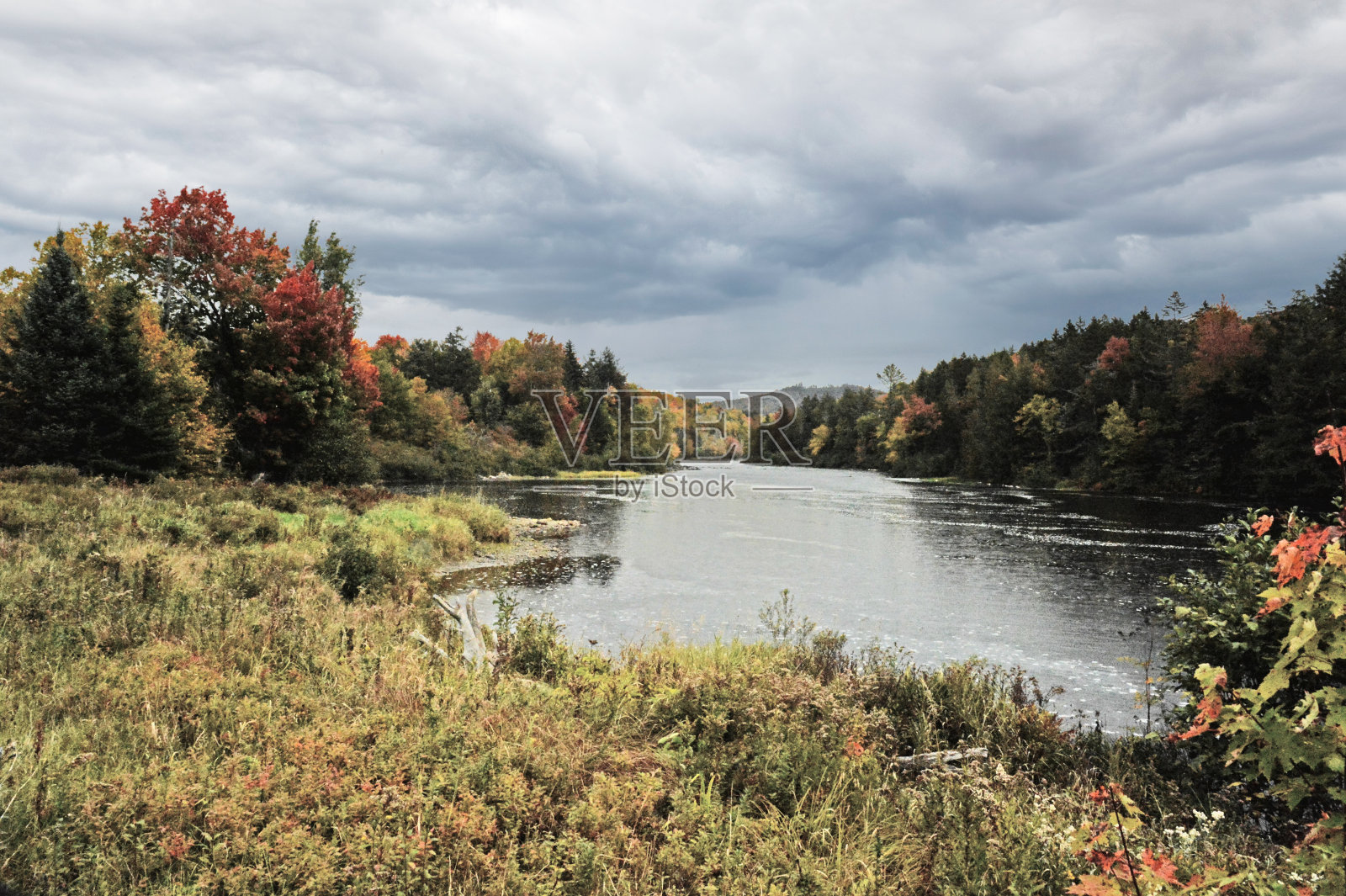 秋叶照片摄影图片
