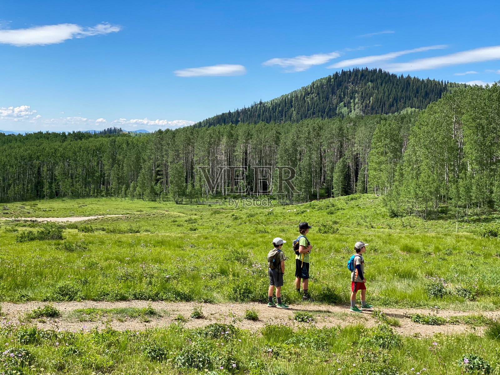 一家人在美丽的草地上远足照片摄影图片