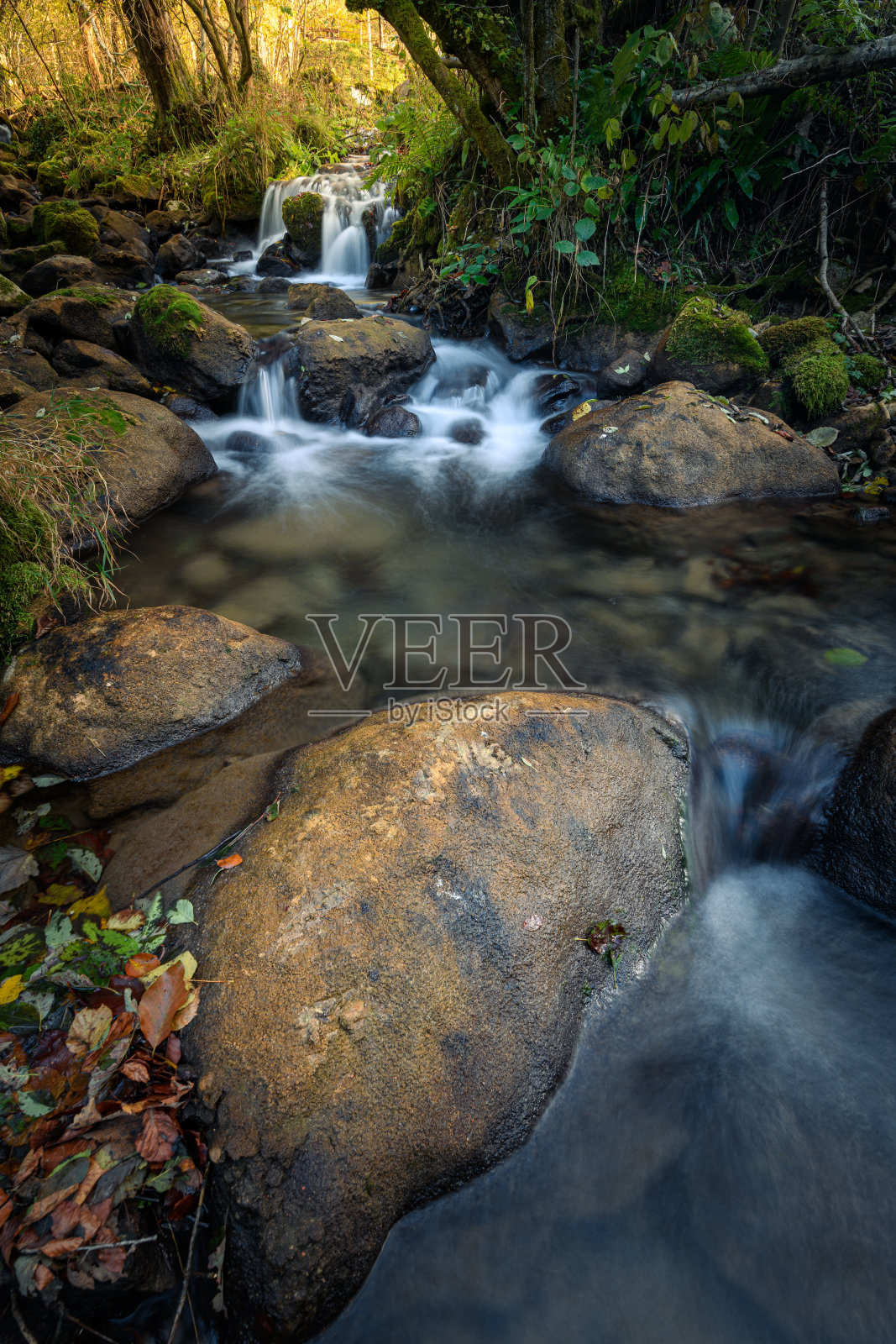 罗马尼亚雷特扎特国家公园秋天的一条小河,流经树林照片摄影图片