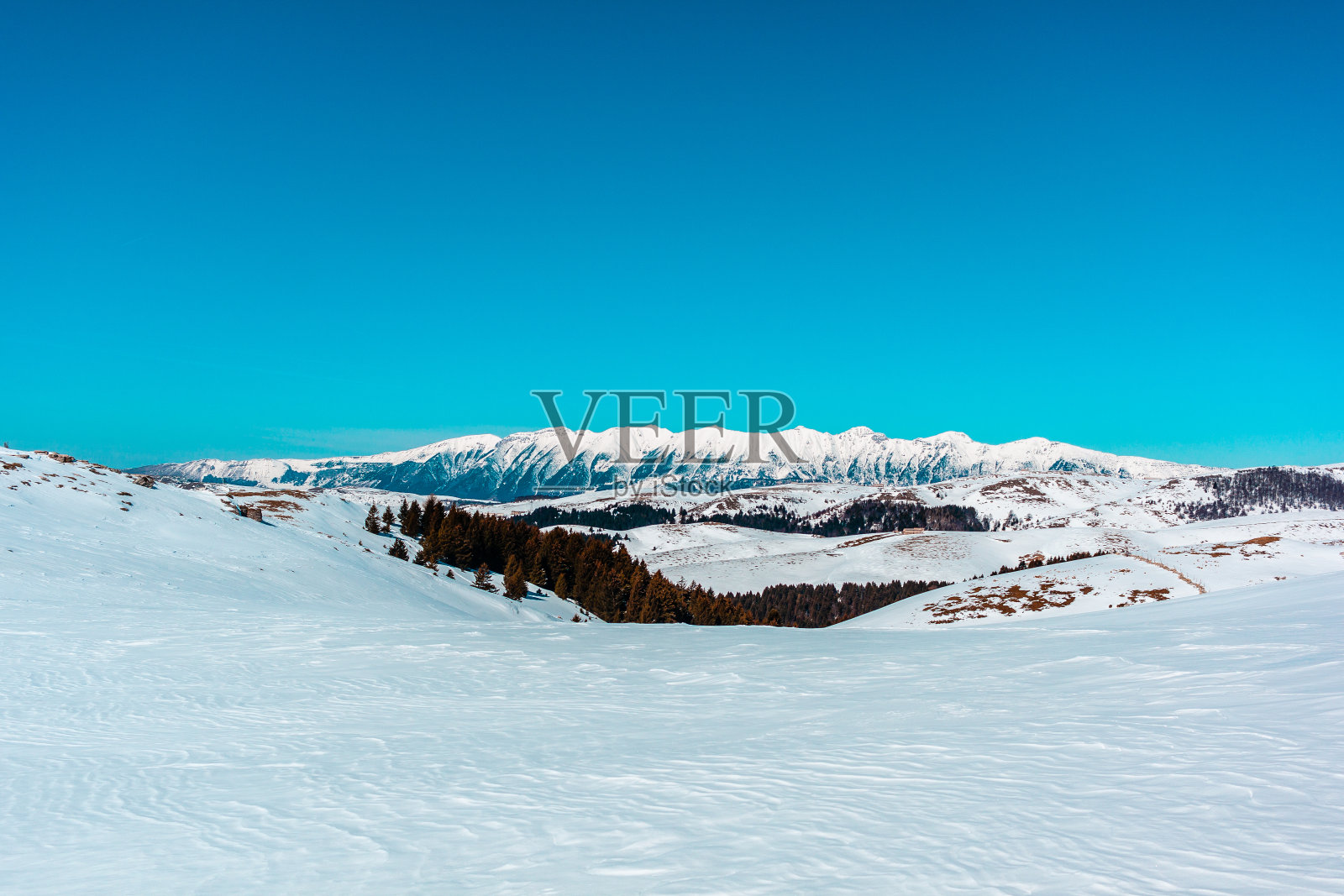冬天照片摄影图片