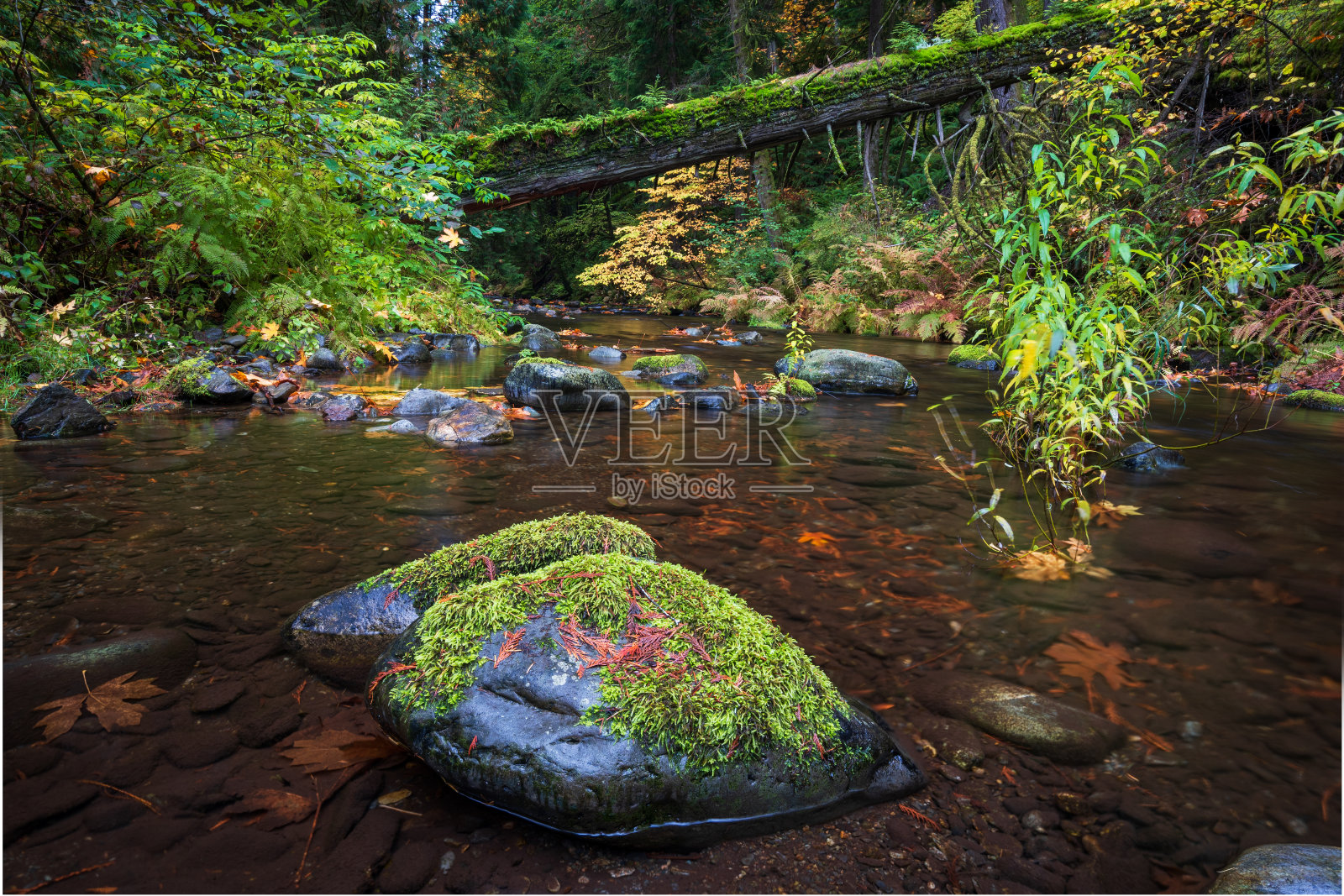 秋季的戈德斯特里姆河照片摄影图片