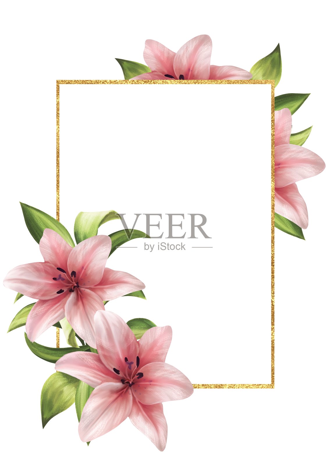 粉红色百合花的框架花卡片插画图片素材