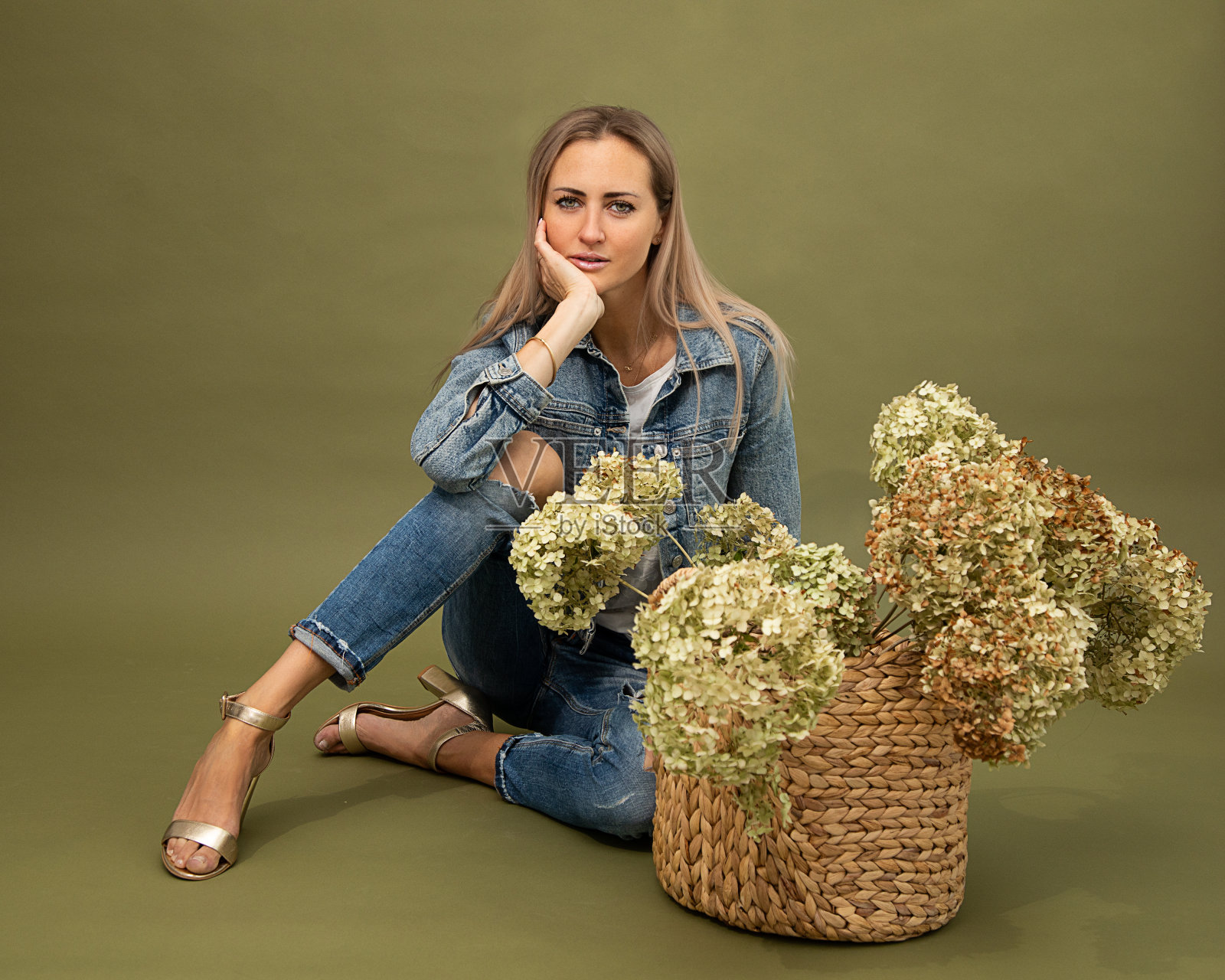 时尚金发模特的肖像,30-35岁的花商在牛仔布在橄榄色背景在工作室,干绣球花在她的手。看相机照片摄影图片