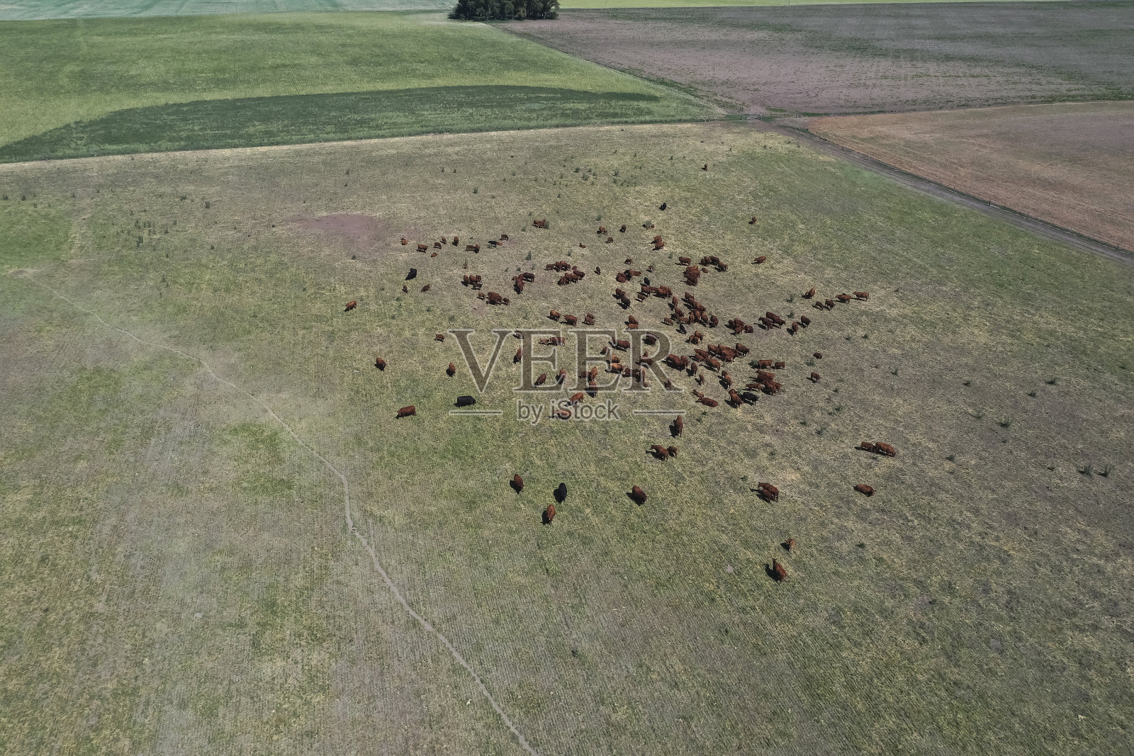 农业生产照片摄影图片
