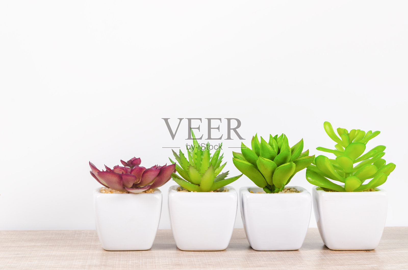 人造仙人掌花盆照片摄影图片