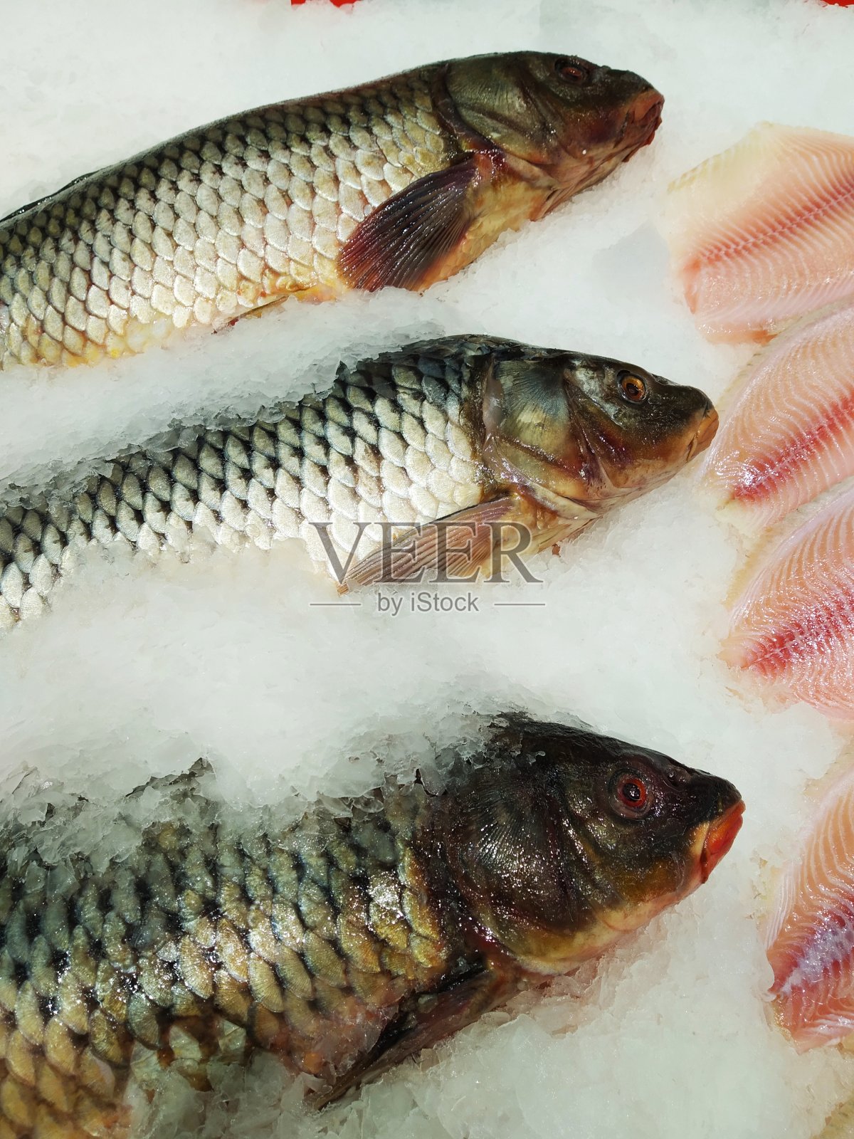 新鲜冷冻鱼照片摄影图片