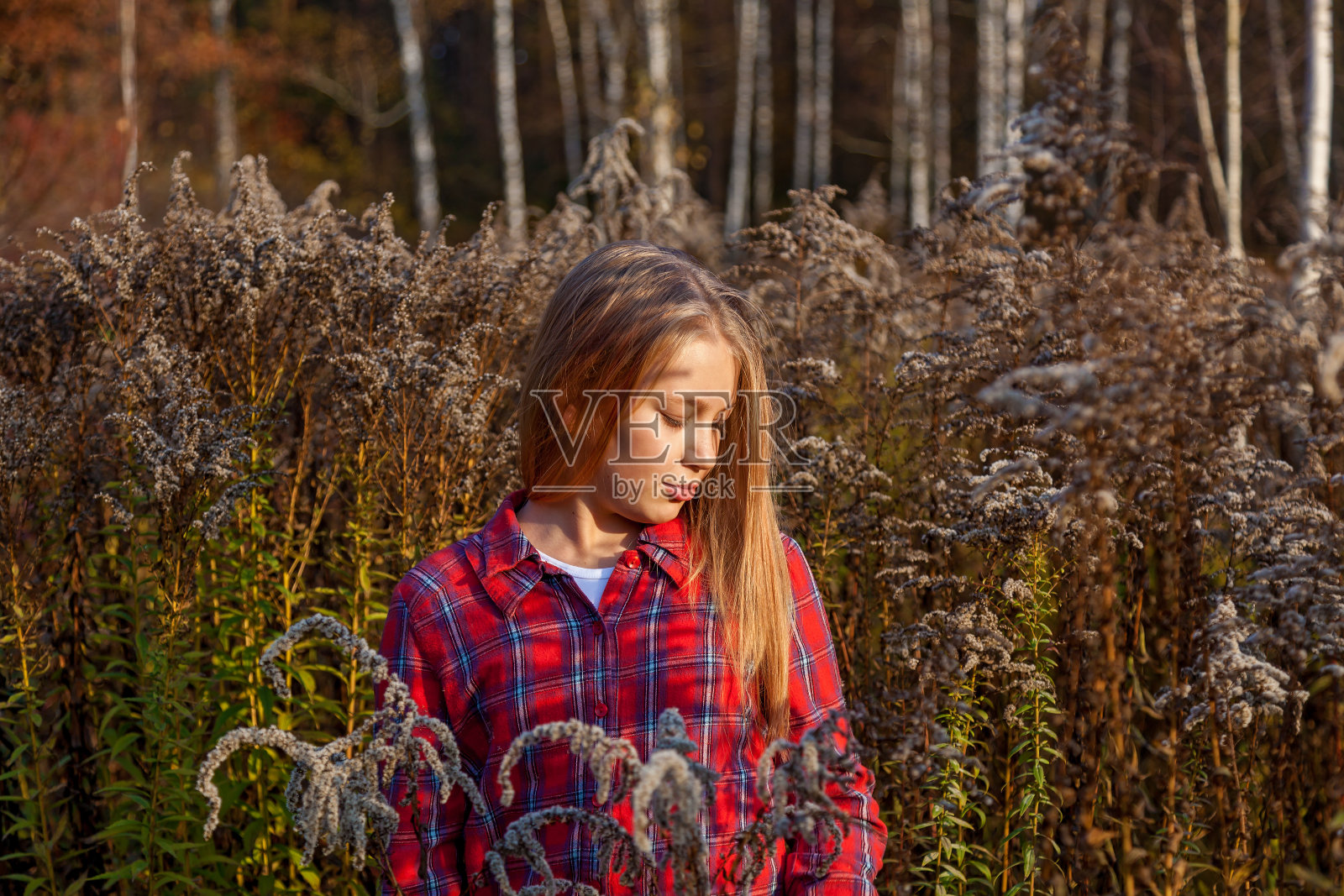 长发女孩在秋天的森林里照片摄影图片