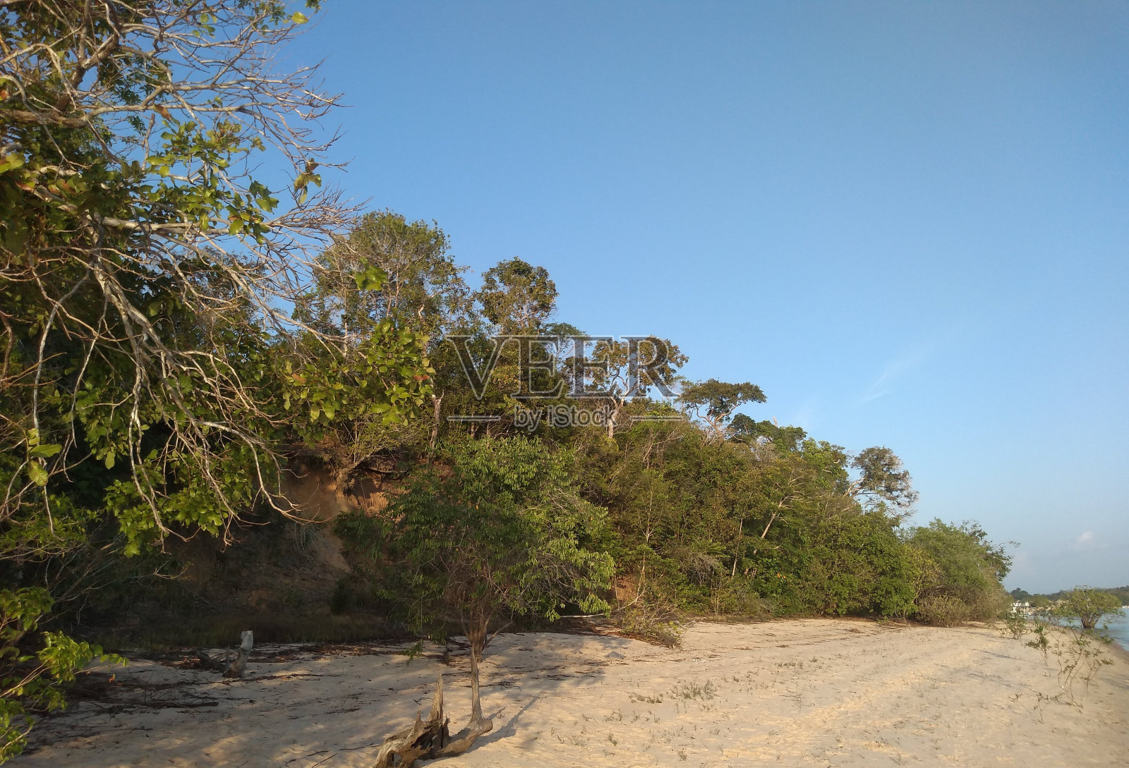 alterdo地区Chão,位于亚马逊森林地区的旅游胜地。照片摄影图片