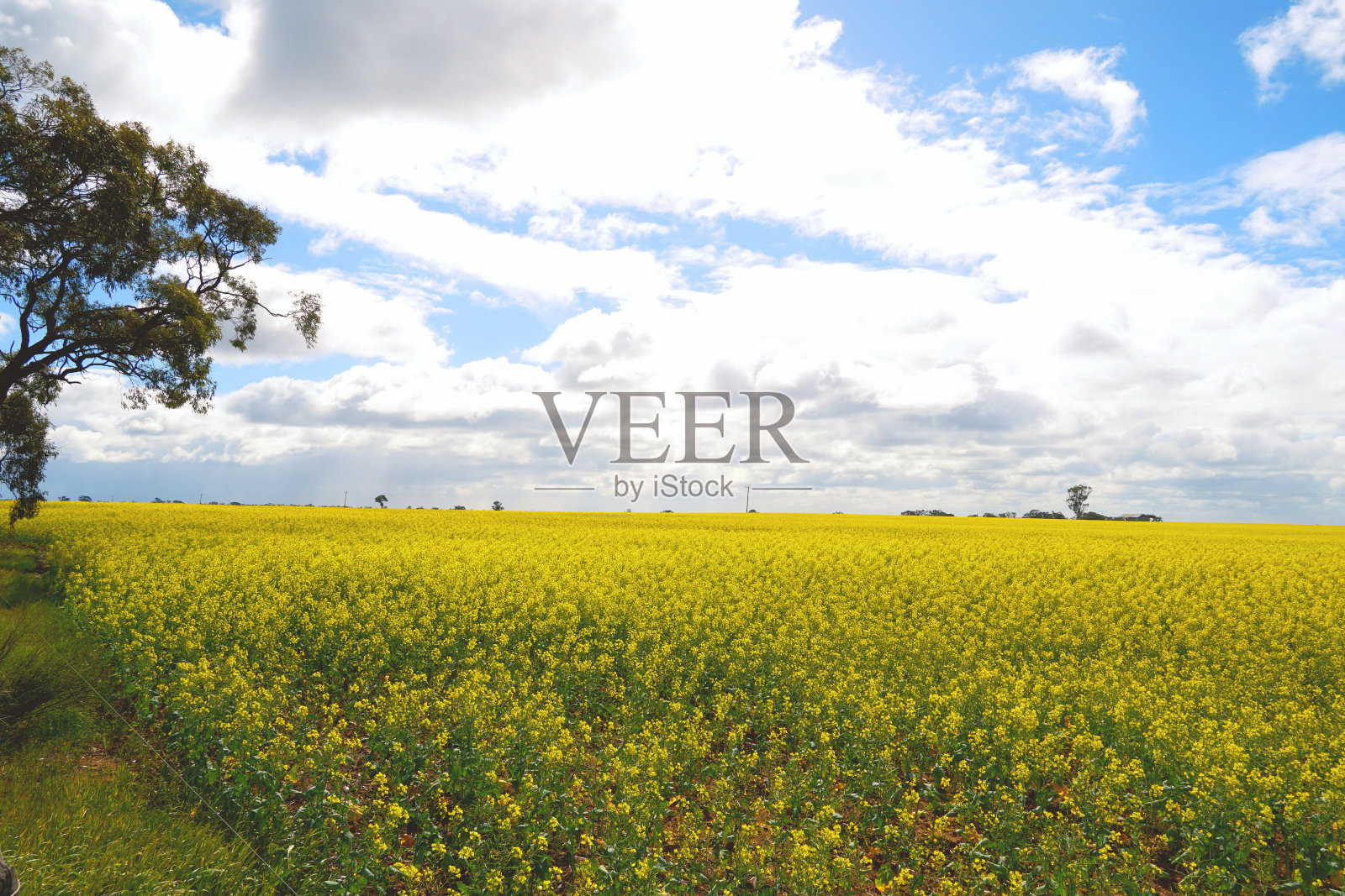 Nhill,维多利亚,澳大利亚照片摄影图片