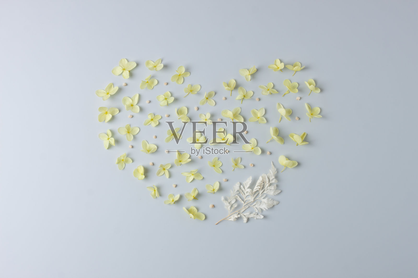 化妆品自然背景与花在灰色。平铺,复制空间照片摄影图片