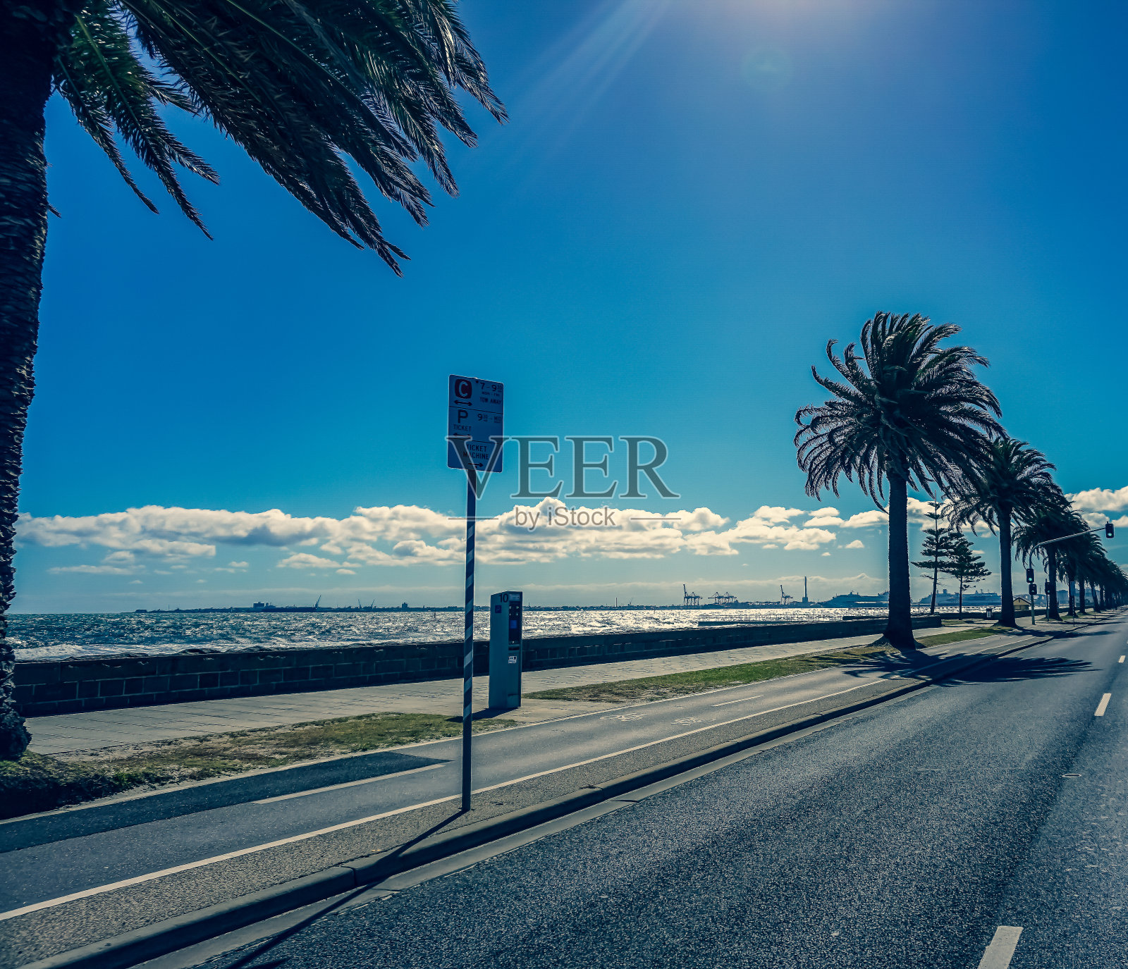 在澳大利亚的路上和海上有一些棕榈树。照片摄影图片