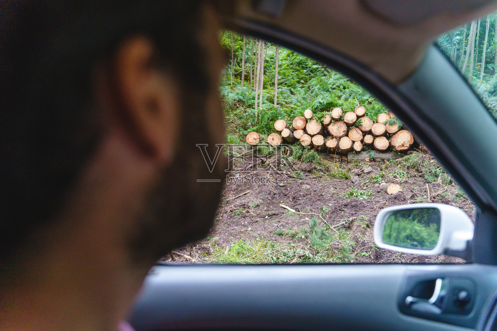 一个不知名的人从车窗里观赏一片绿色的森林。照片摄影图片