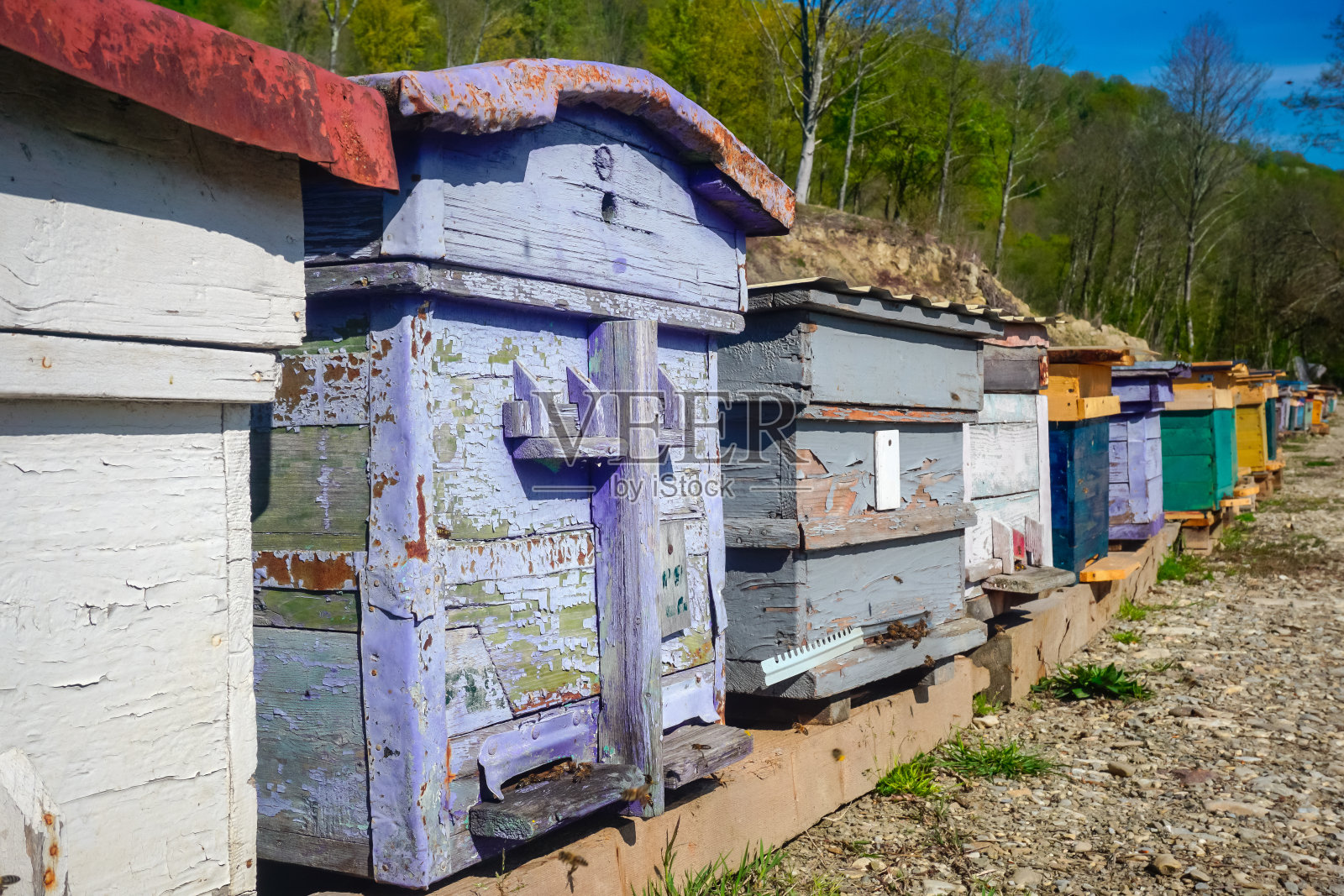 几个木制的蜂箱排成一排照片摄影图片