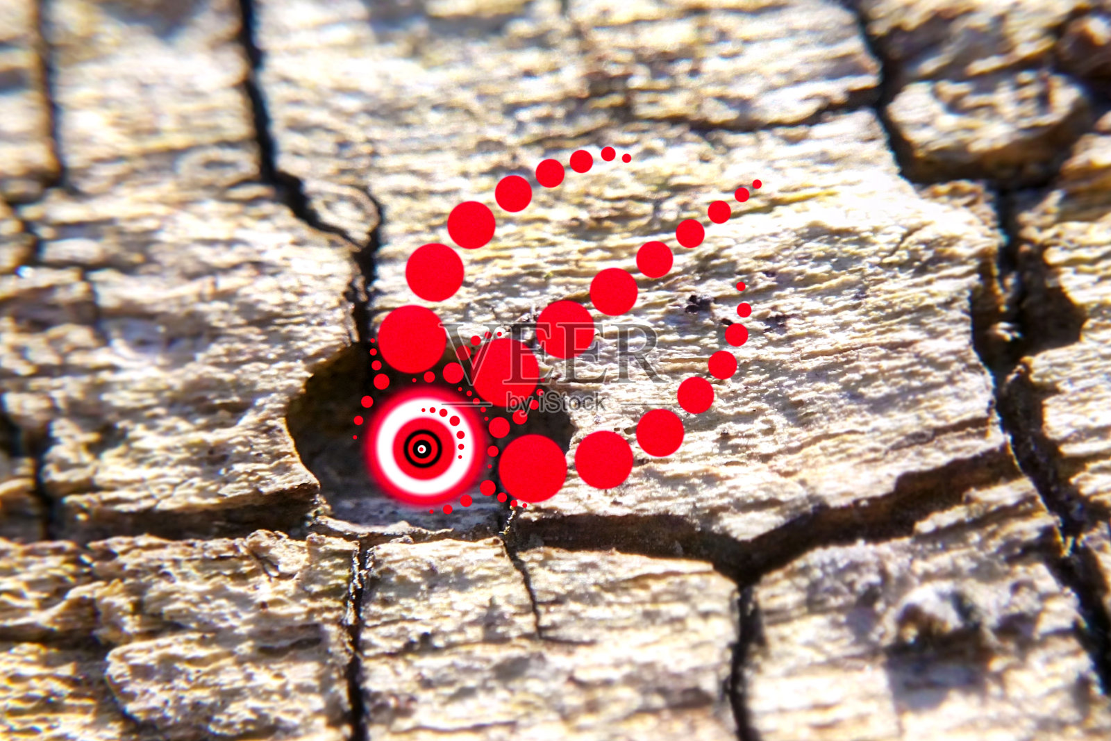 森林里树皮上的红色迷幻图案,普拉那的象征,几何圆球,萨满教的恍惚照片摄影图片