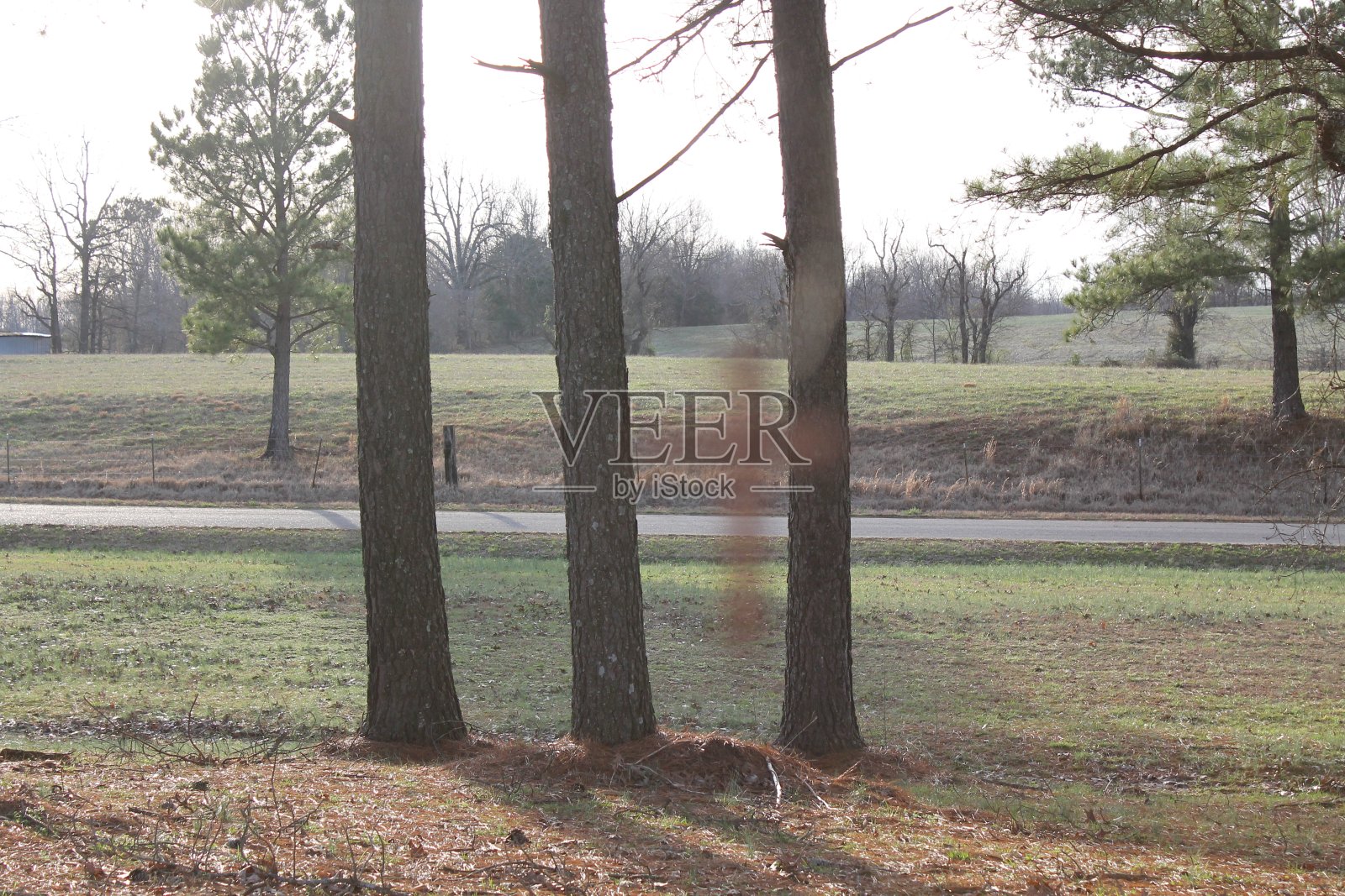我一直在那里照片摄影图片
