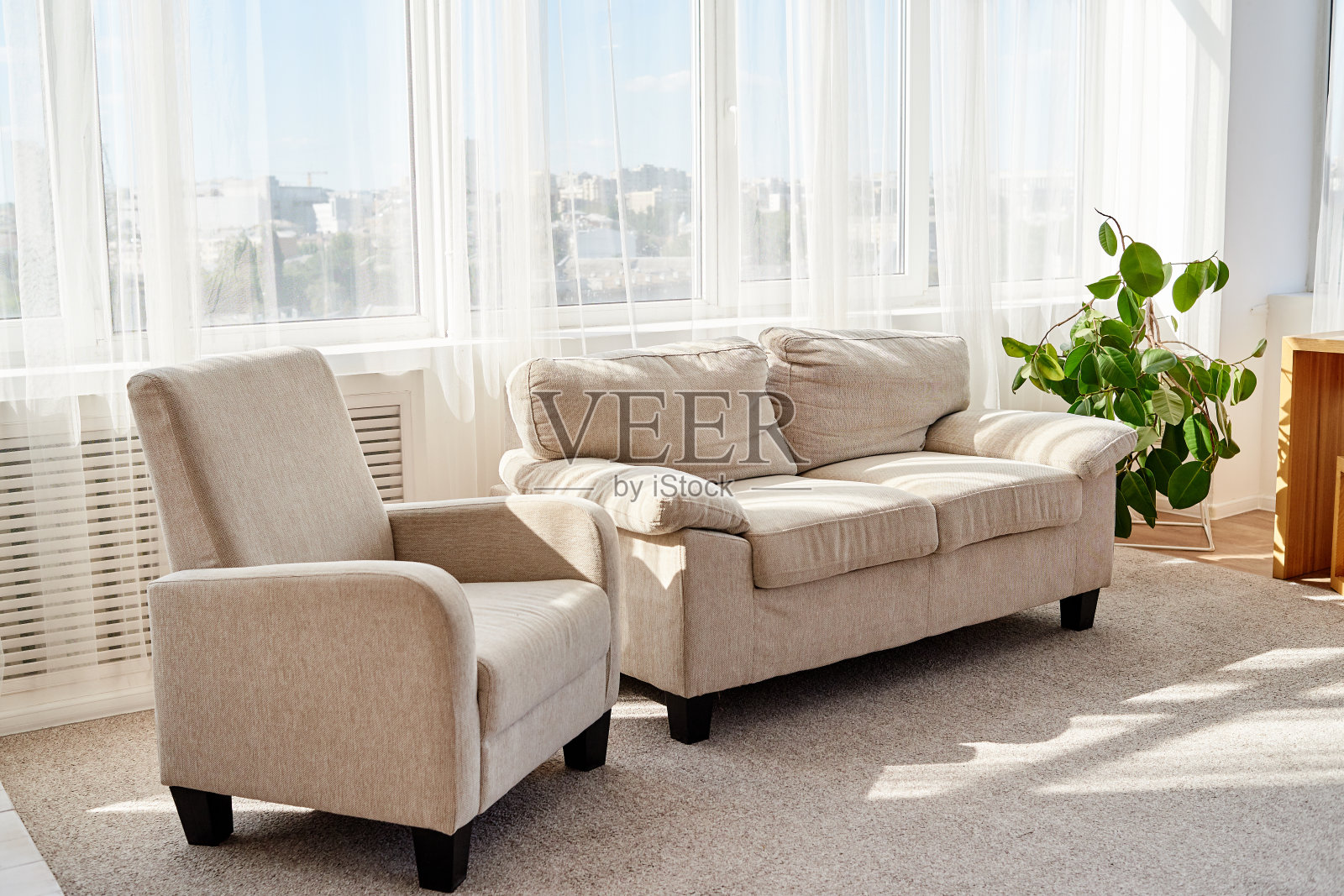 时尚的现代客厅,舒适的米色沙发,扶手椅和小绿树在地板上。客厅内部有家具和大窗户,临摹空间照片摄影图片