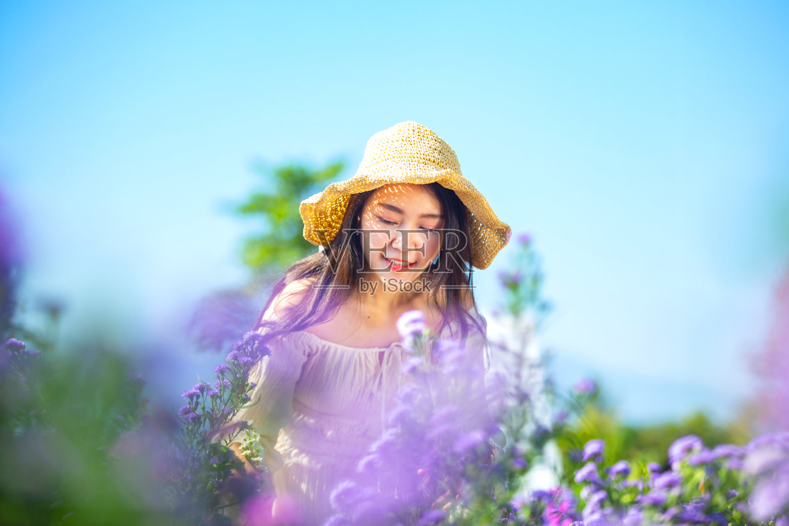 美丽的亚洲女孩在花农场拍照。愉快地在泰国清迈照片摄影图片