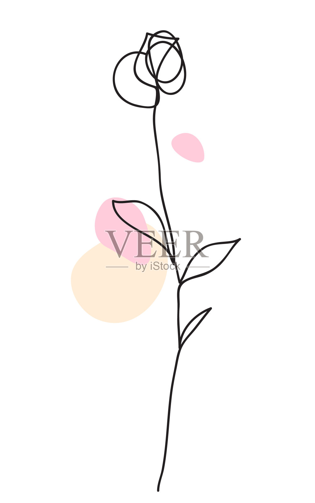 一个画线。美丽的花园玫瑰长着叶子。手绘草图。插画图片素材