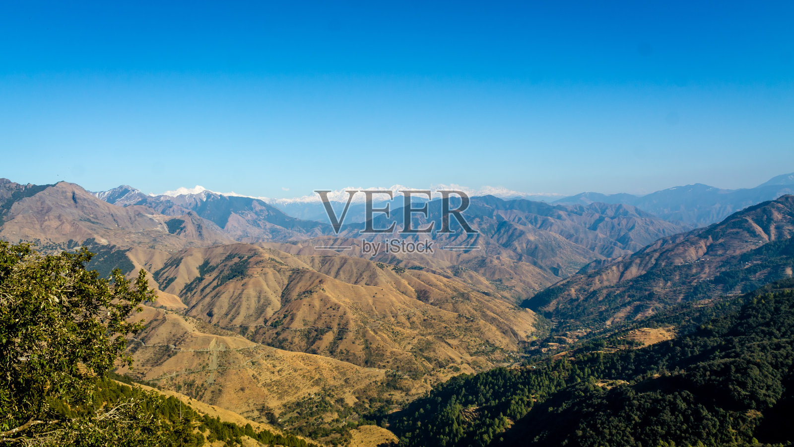 Chirmiri Neck是Chakrata的最高峰,周围环绕着郁郁葱葱的绿林照片摄影图片